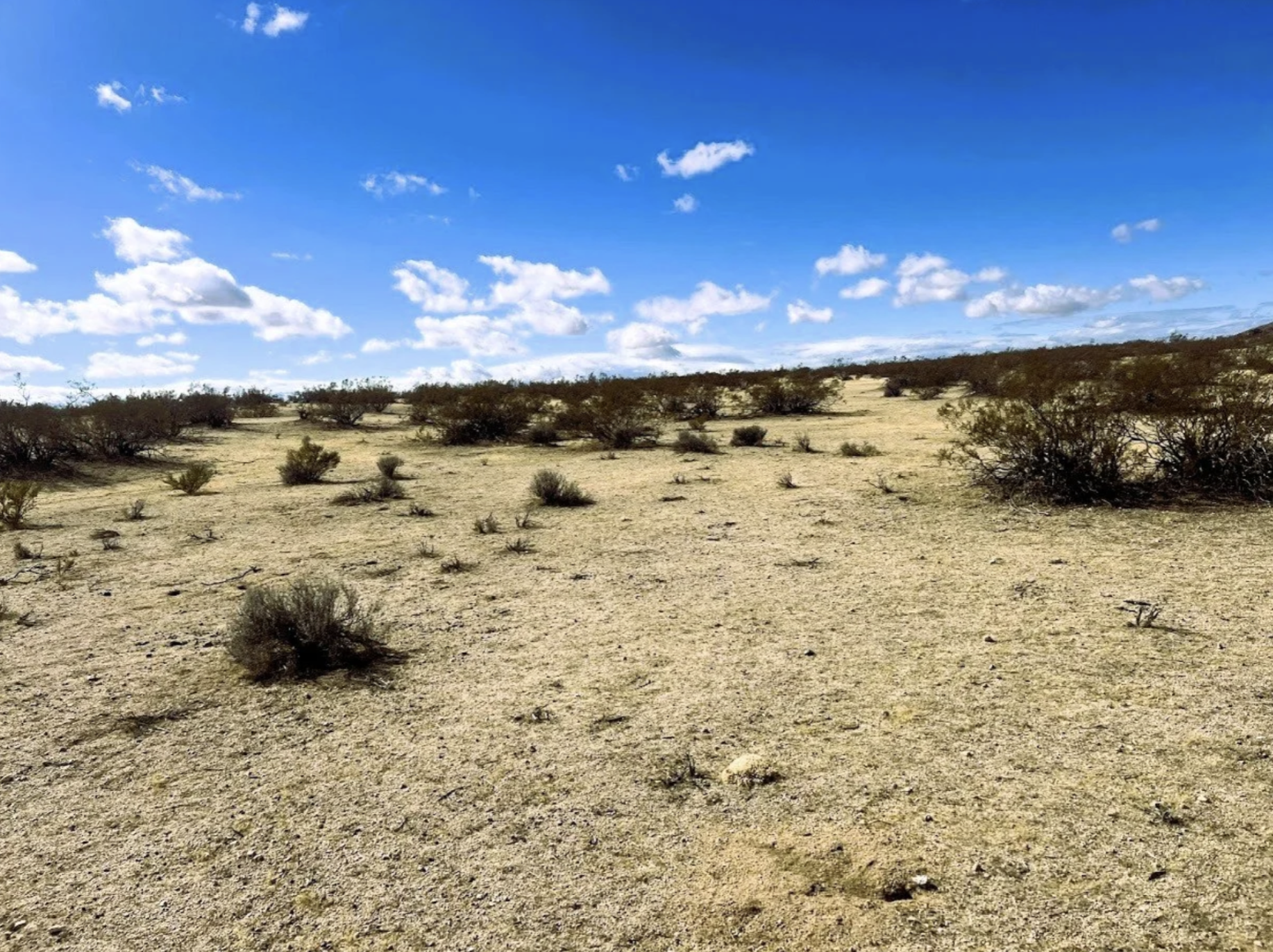 Pic 3 - Lot 473 Hargett Dr.png