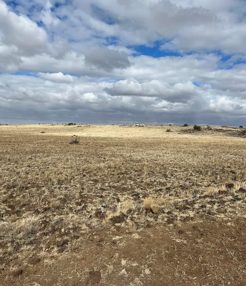 Screenshot 2026-01-29 123931.png