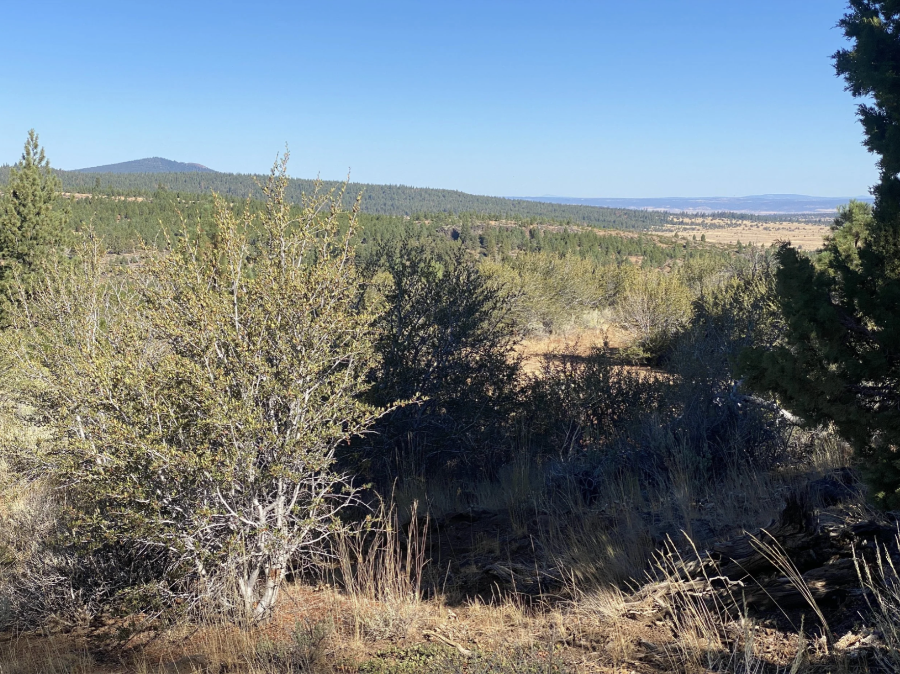 Screenshot 2026-04-17 at 10.14.19 AM.png