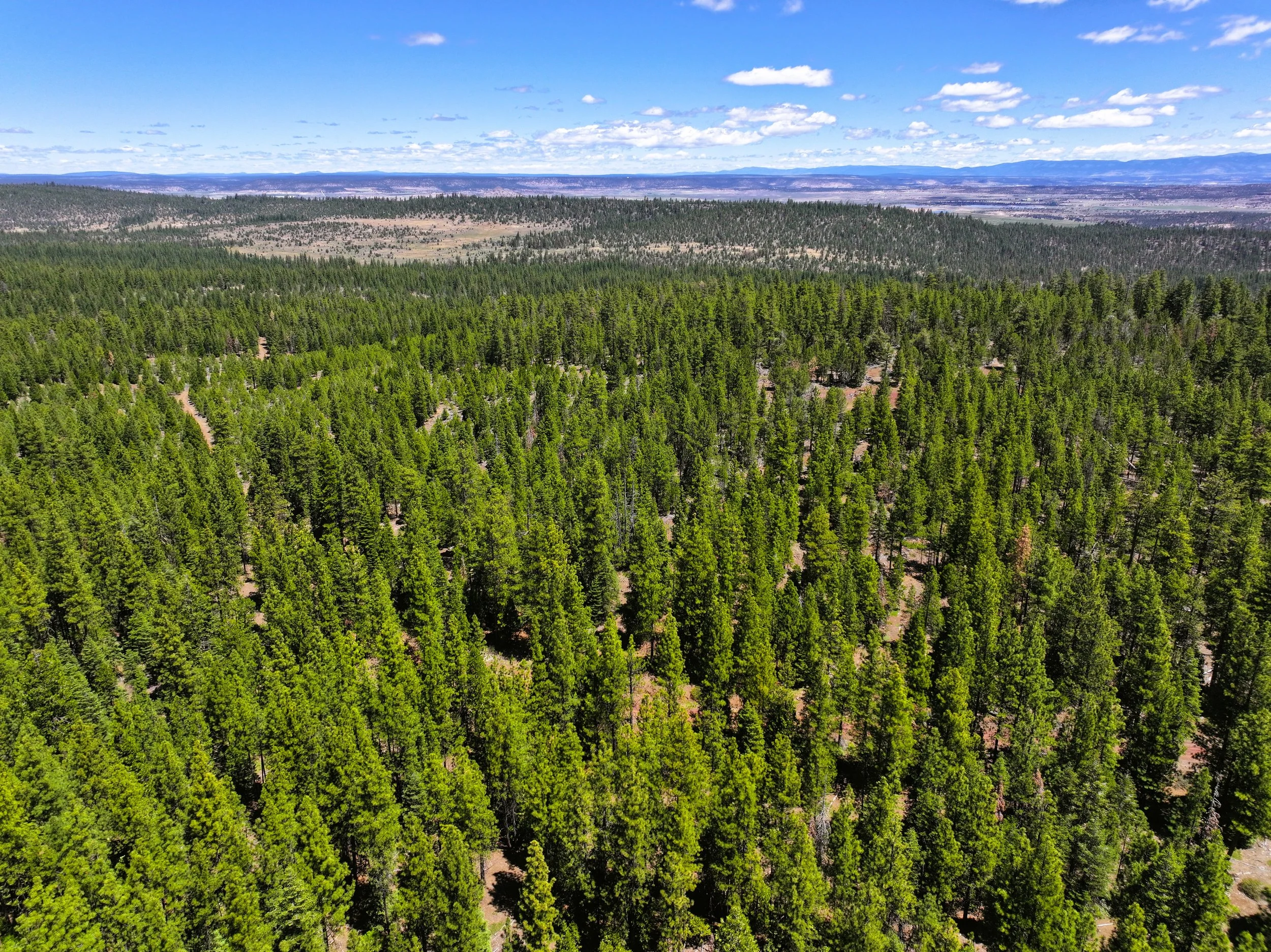 Drone - Lot 34 & 35 & 36 California Pines Blvd (2024-06-18 09.13.08).jpg