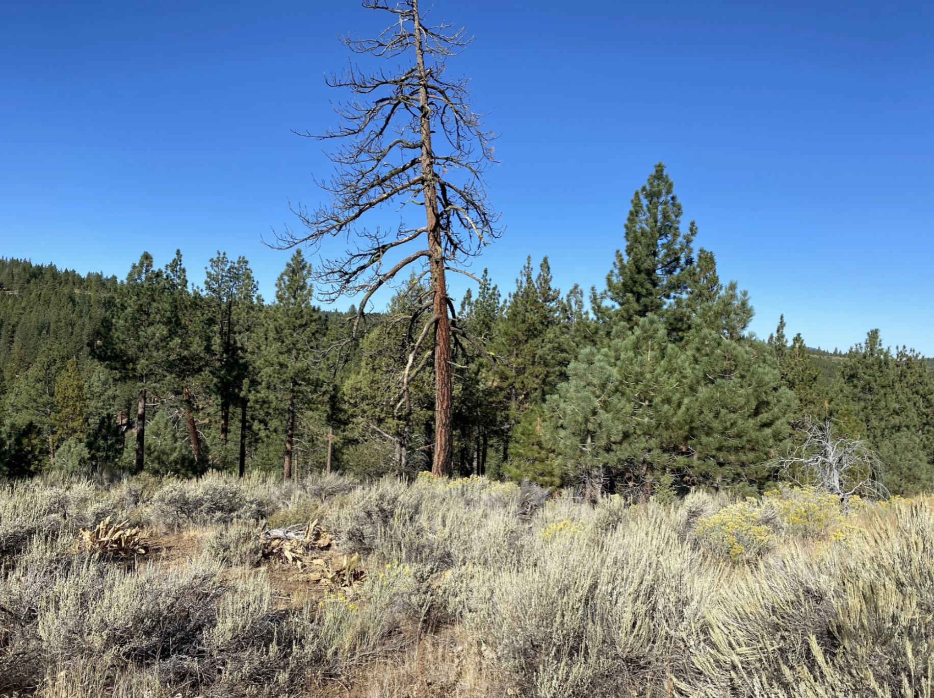 Screenshot 2026-04-17 at 10.13.40 AM.png