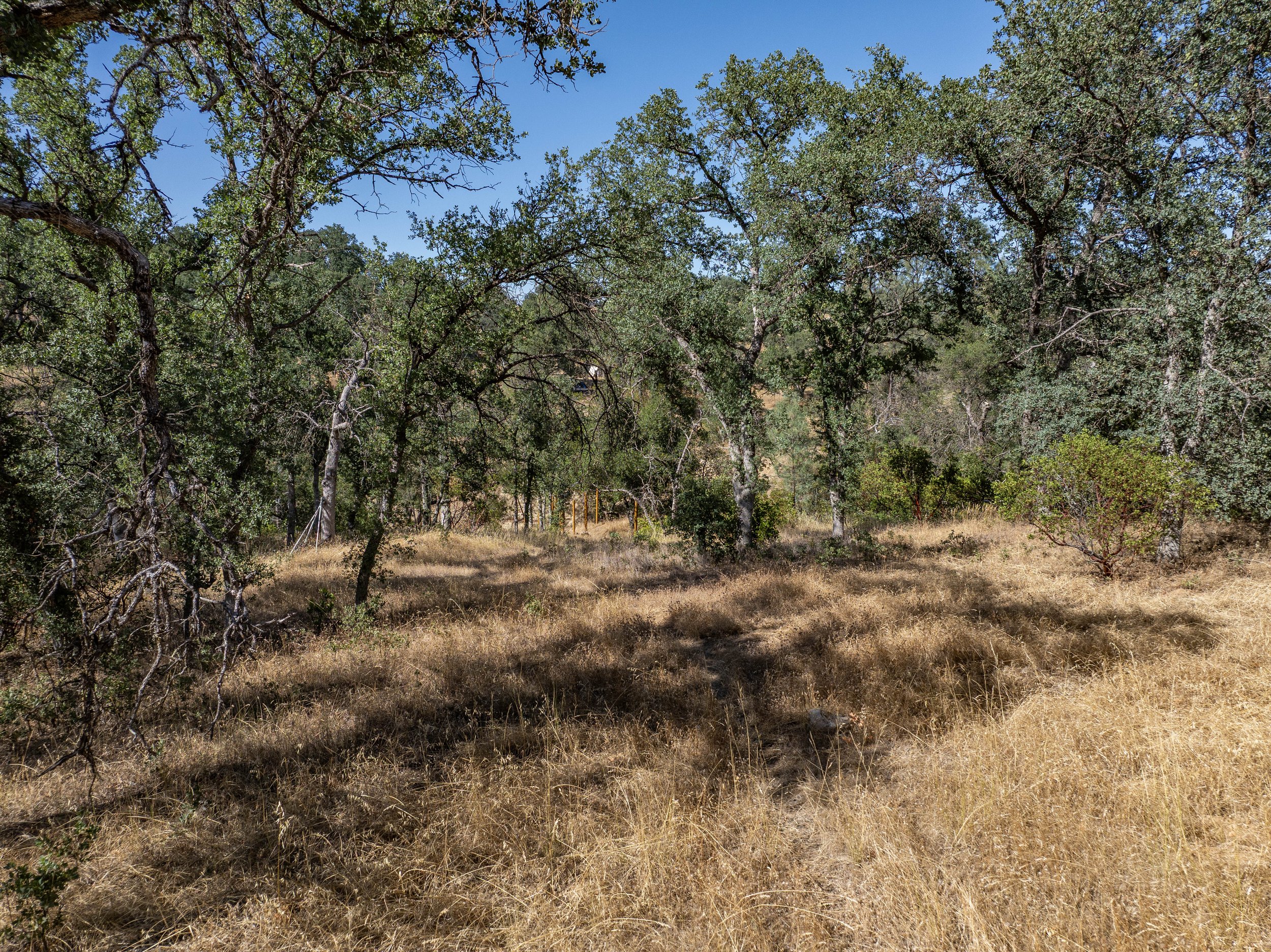 08-7200 Whitetail Way - E-7.jpg
