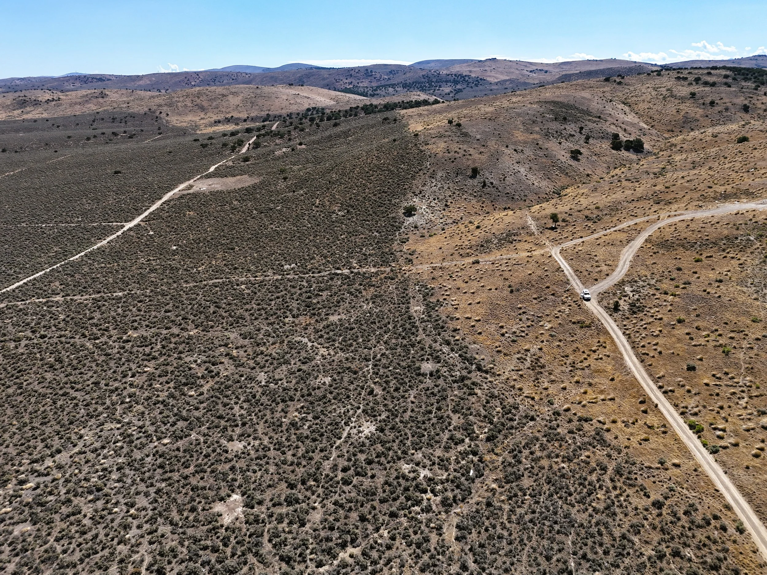 200ft east.jpg