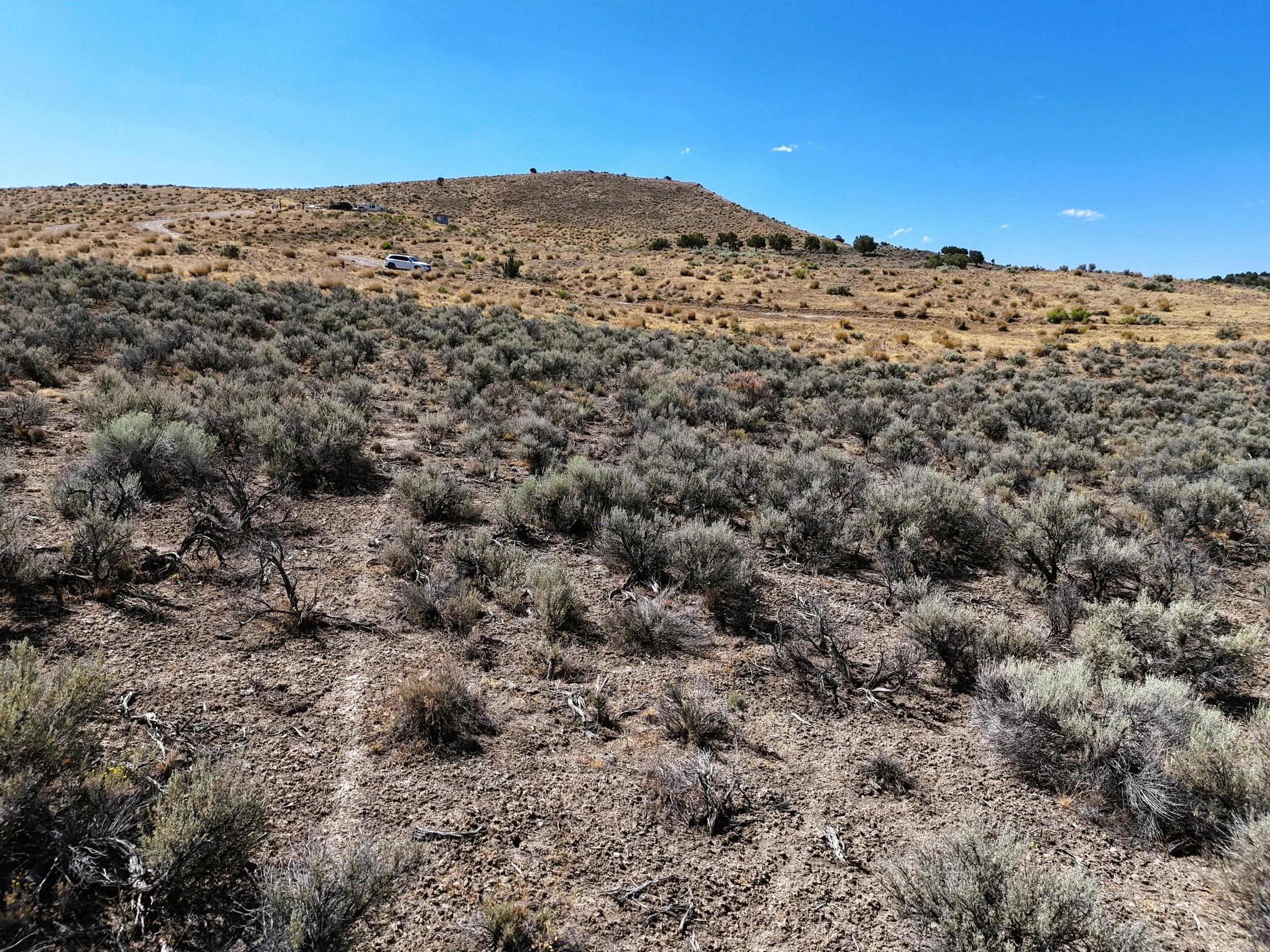 Ground mid property south.jpg