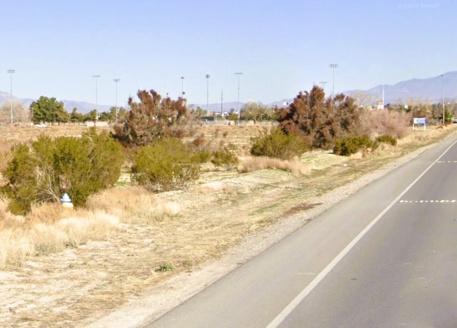 Google Pic 7N - 1770 S DANDELION ST.png