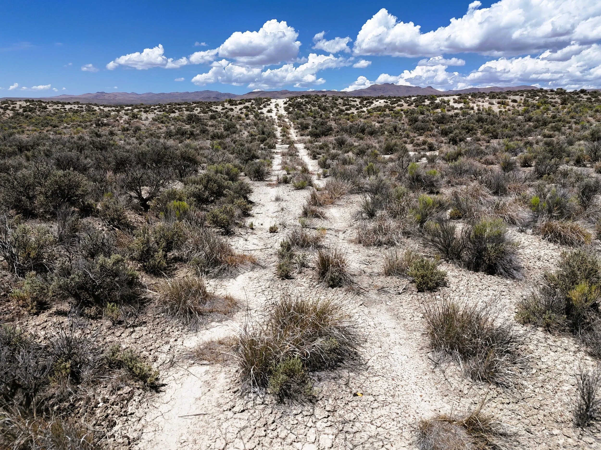 2 trail east.jpg