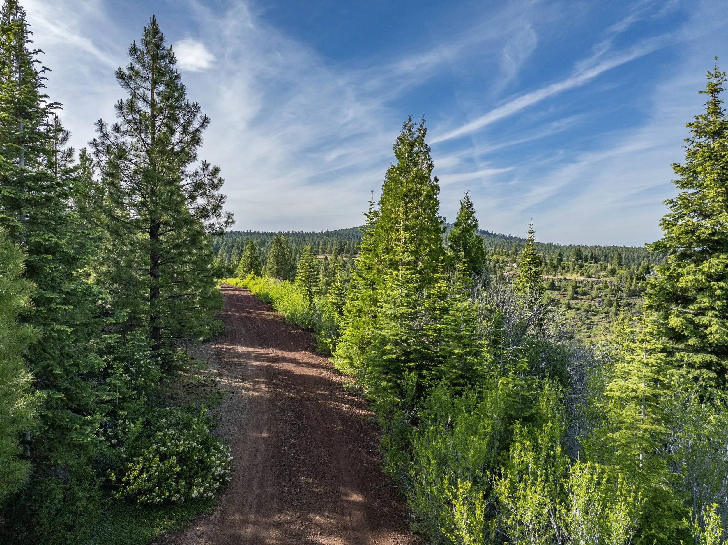 $ 5,950. 1.26 Acres. Lot 7 Stallion Rd.  Walking Distance to Beautiful Browns Pond. Financing Available $ 350 Down And $ 112.75 A Month for 60 Months .