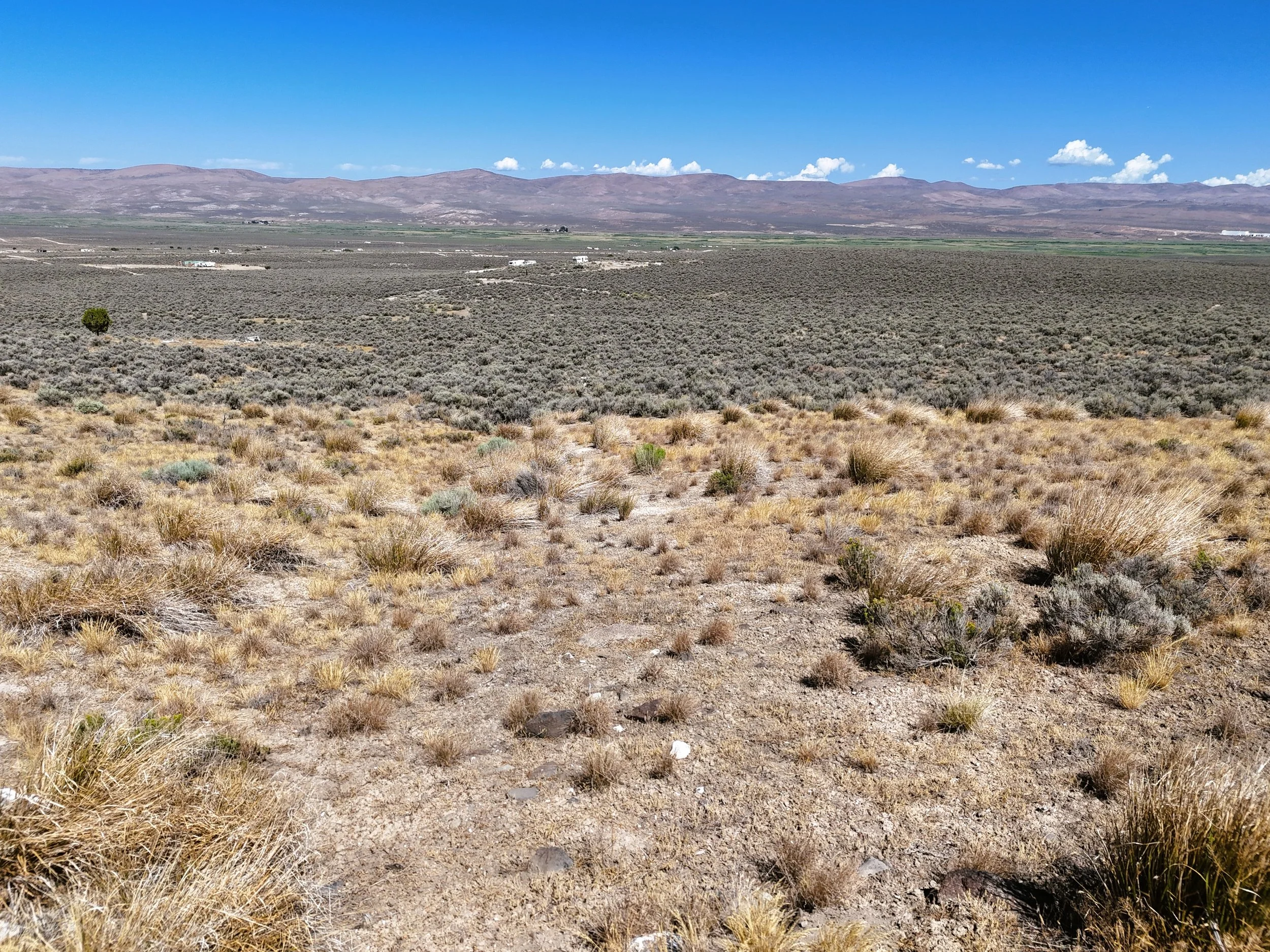 Ground north front property.jpg
