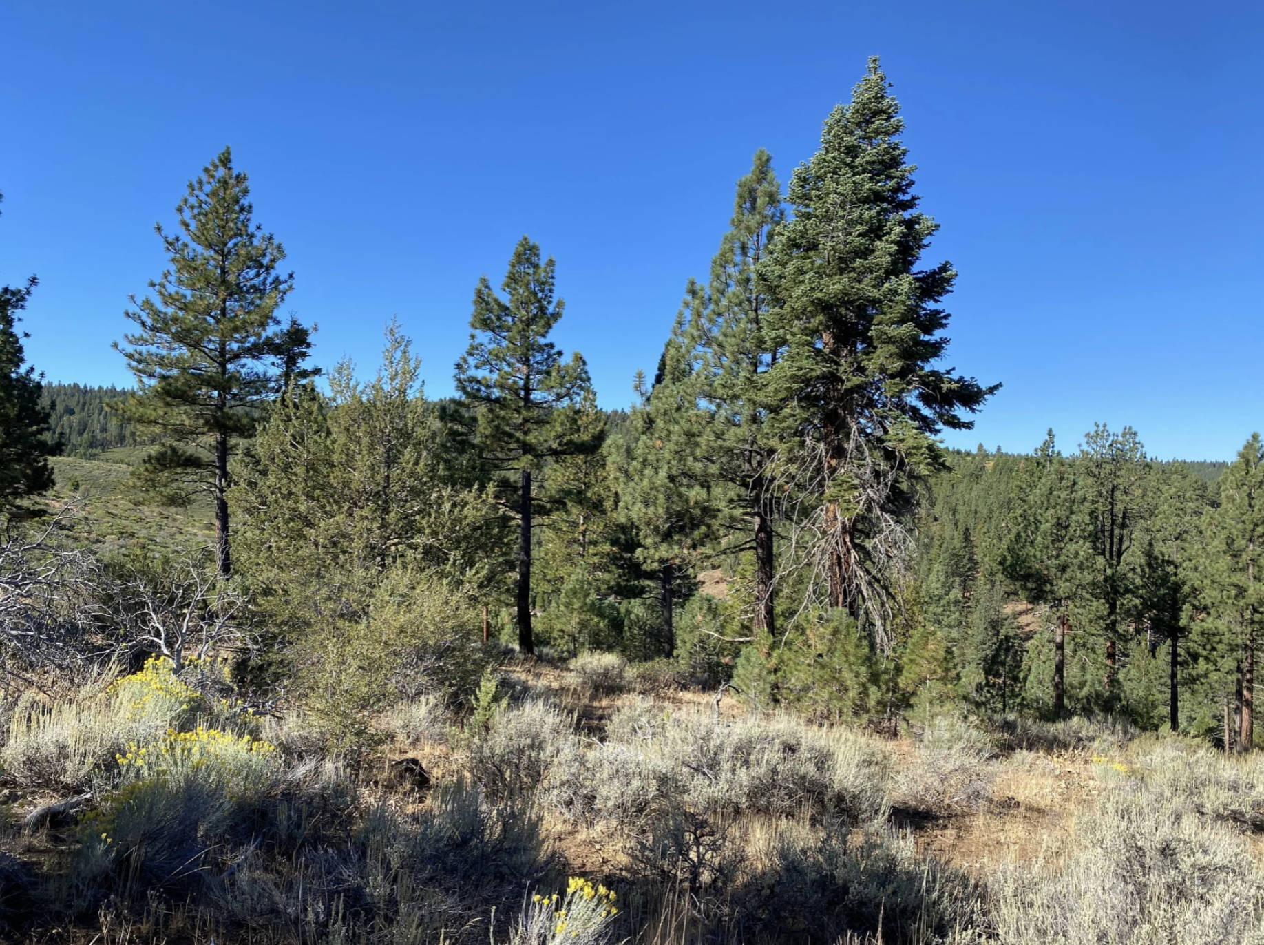 Screenshot 2026-04-17 at 10.13.04 AM.png