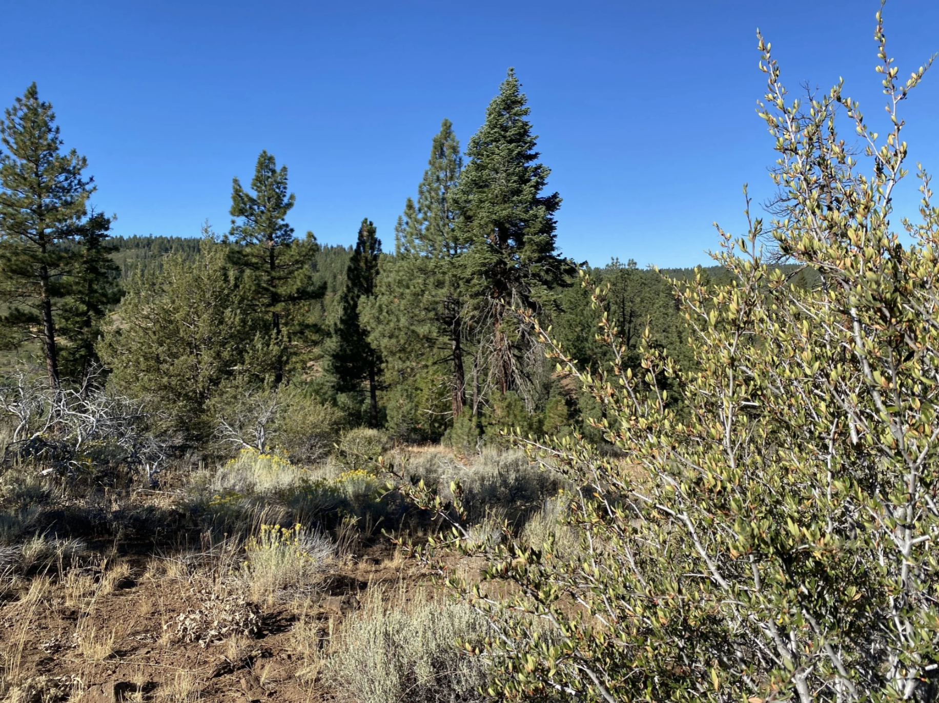 Screenshot 2026-04-17 at 10.13.19 AM.png