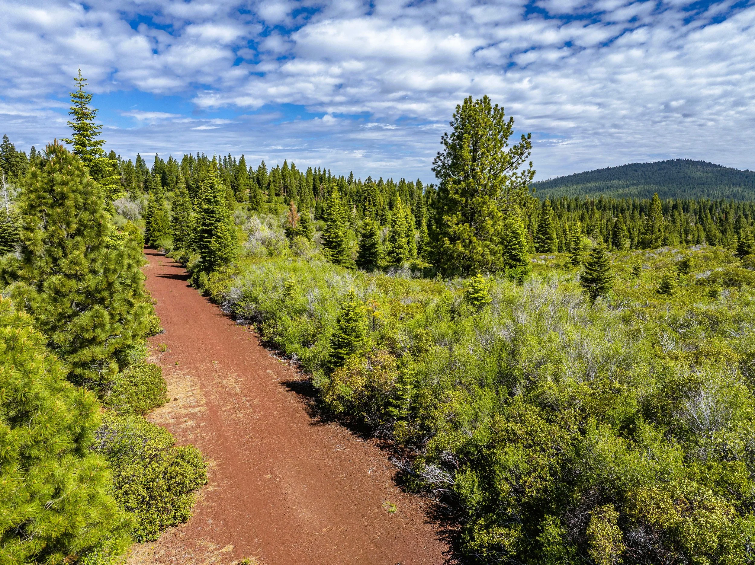 $ 5,950. 0.91 Acres. Lot 22 Concord Rd. Financing Available $ 350 Down And $ 112.75 A Month for 60 Months.