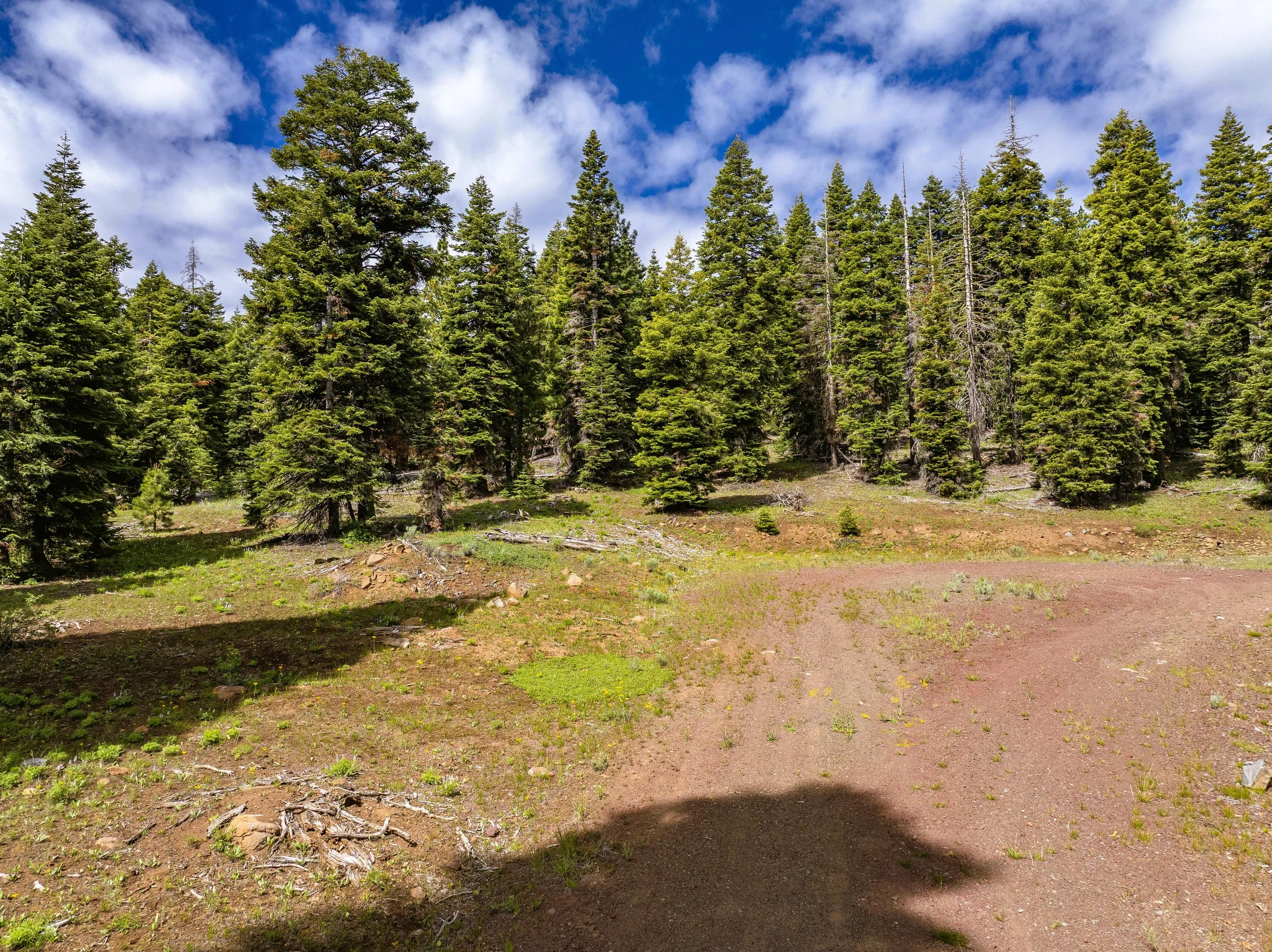 $ 5,950. 0.91 Acres. Lot 22 Prospect Rd. Financing Available $ 350 Down And $ 112.75 A Month for 60 Months.