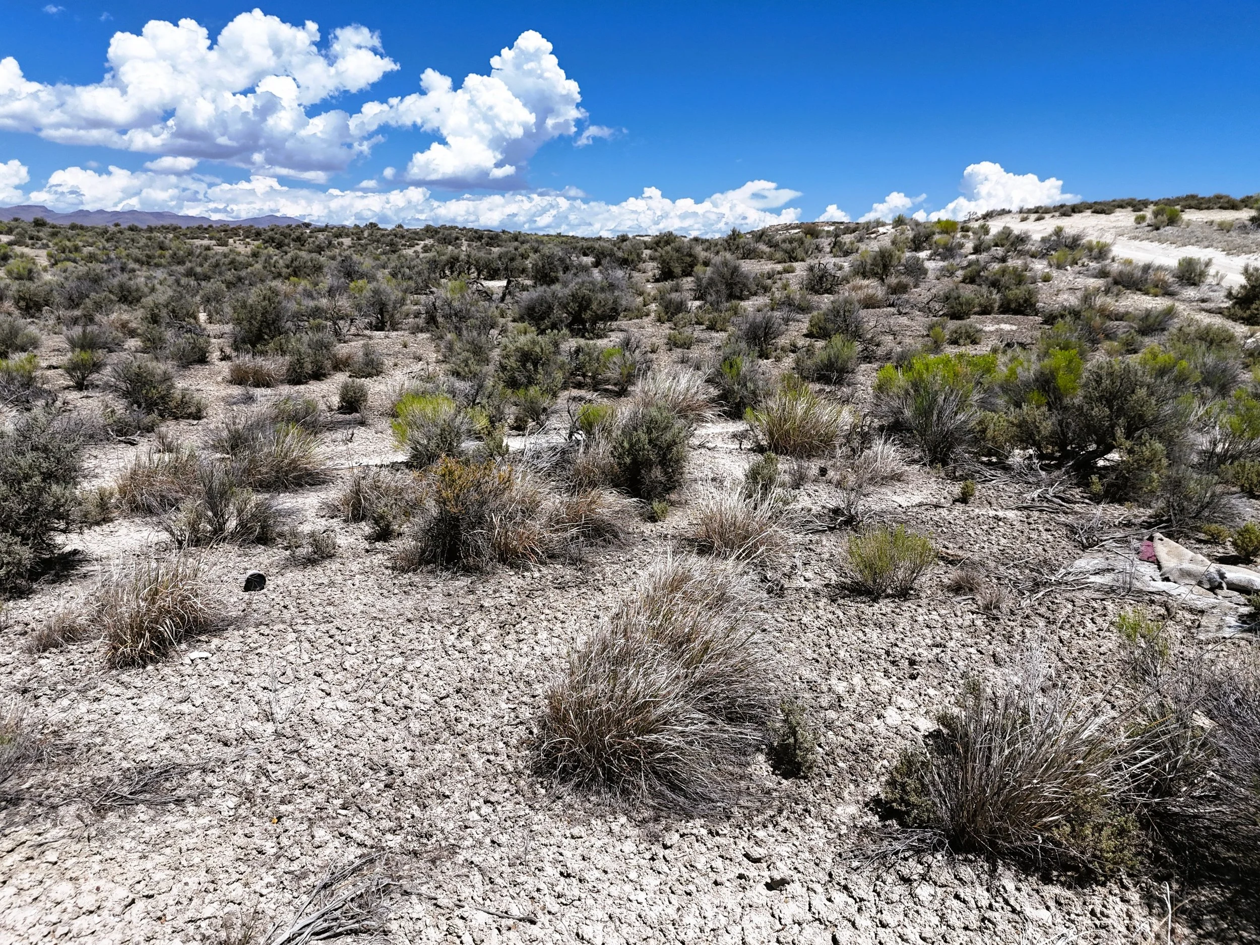 Ground east.jpg