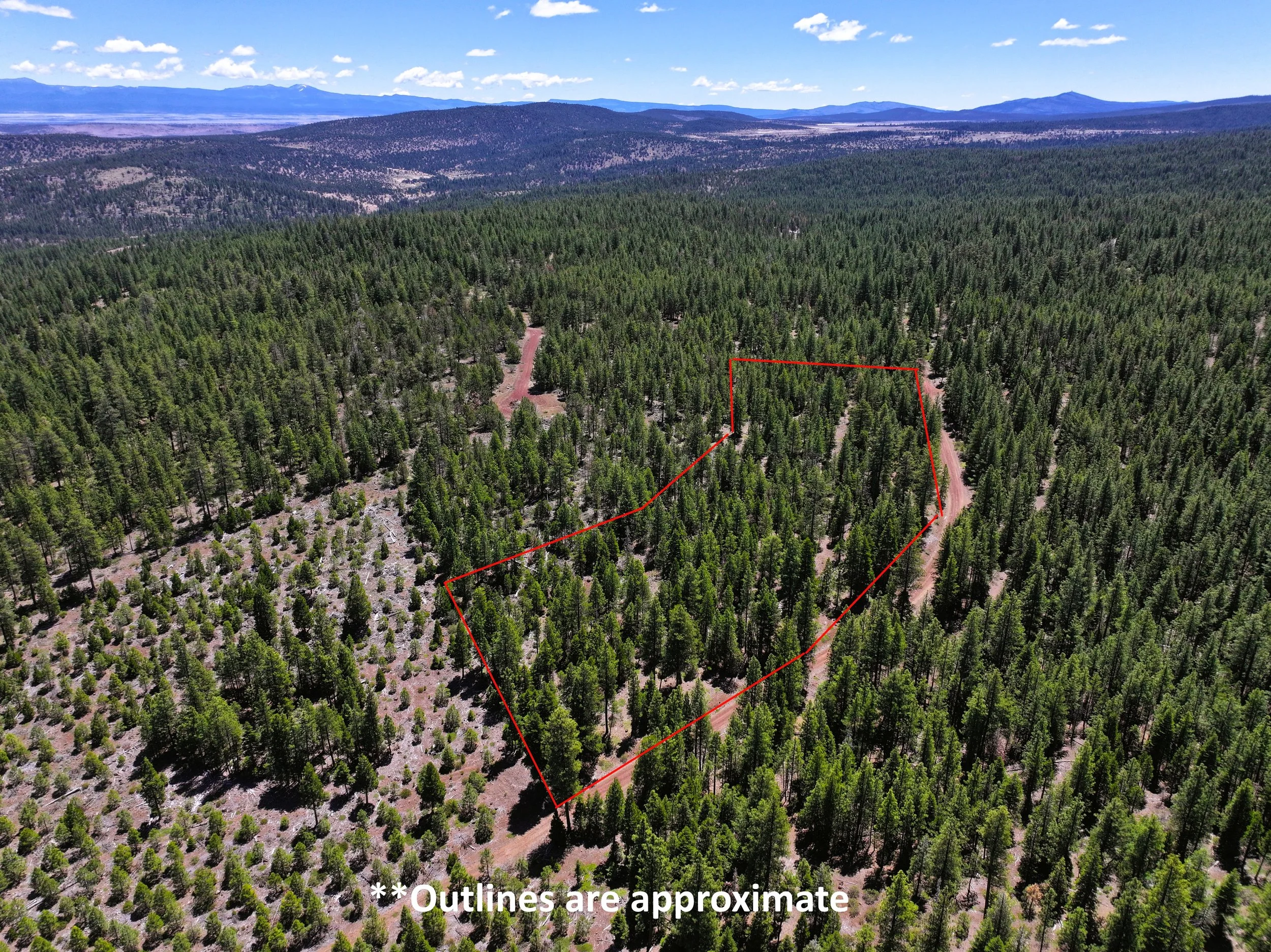 Drone outline (2024-06-18 09.16.06).jpg