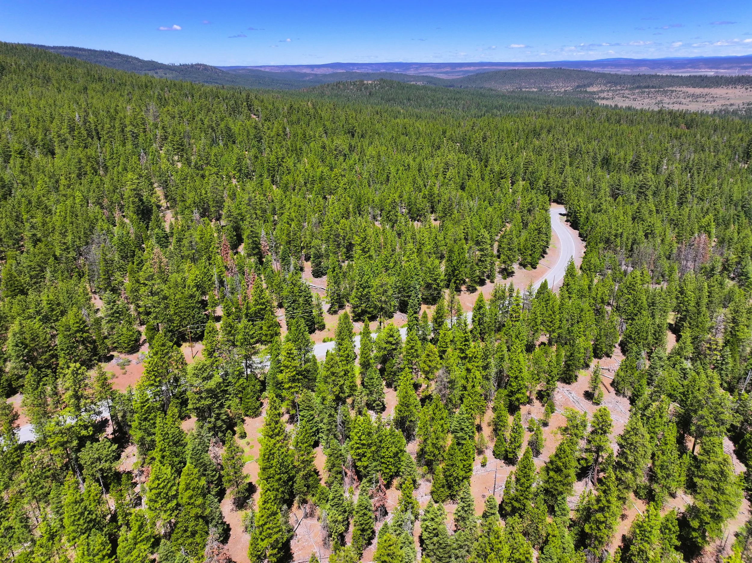 Drone - Lot 28 California Pines Blvd (2024-06-18 09.26.24).jpg