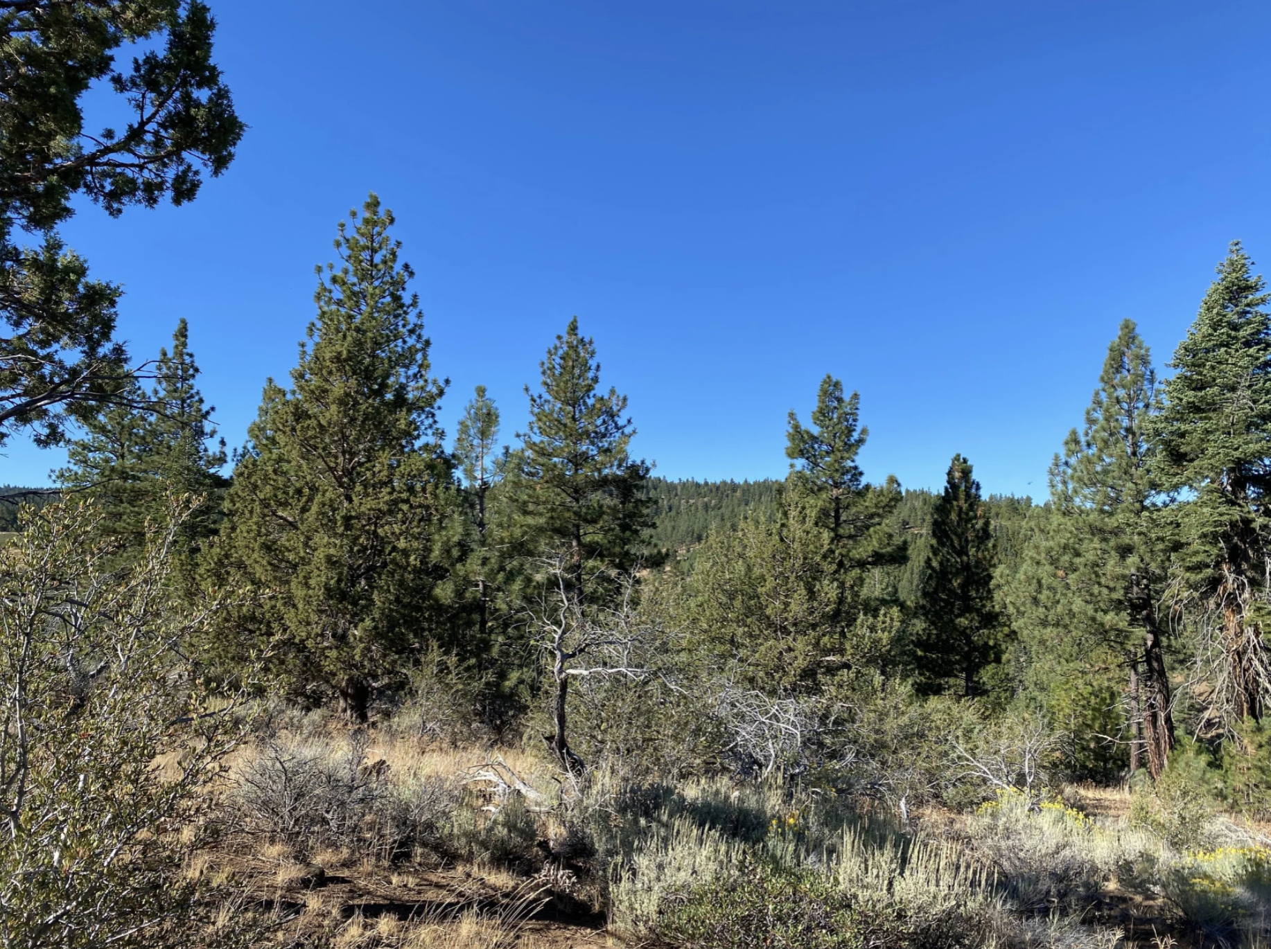 Screenshot 2026-04-17 at 10.13.53 AM.png