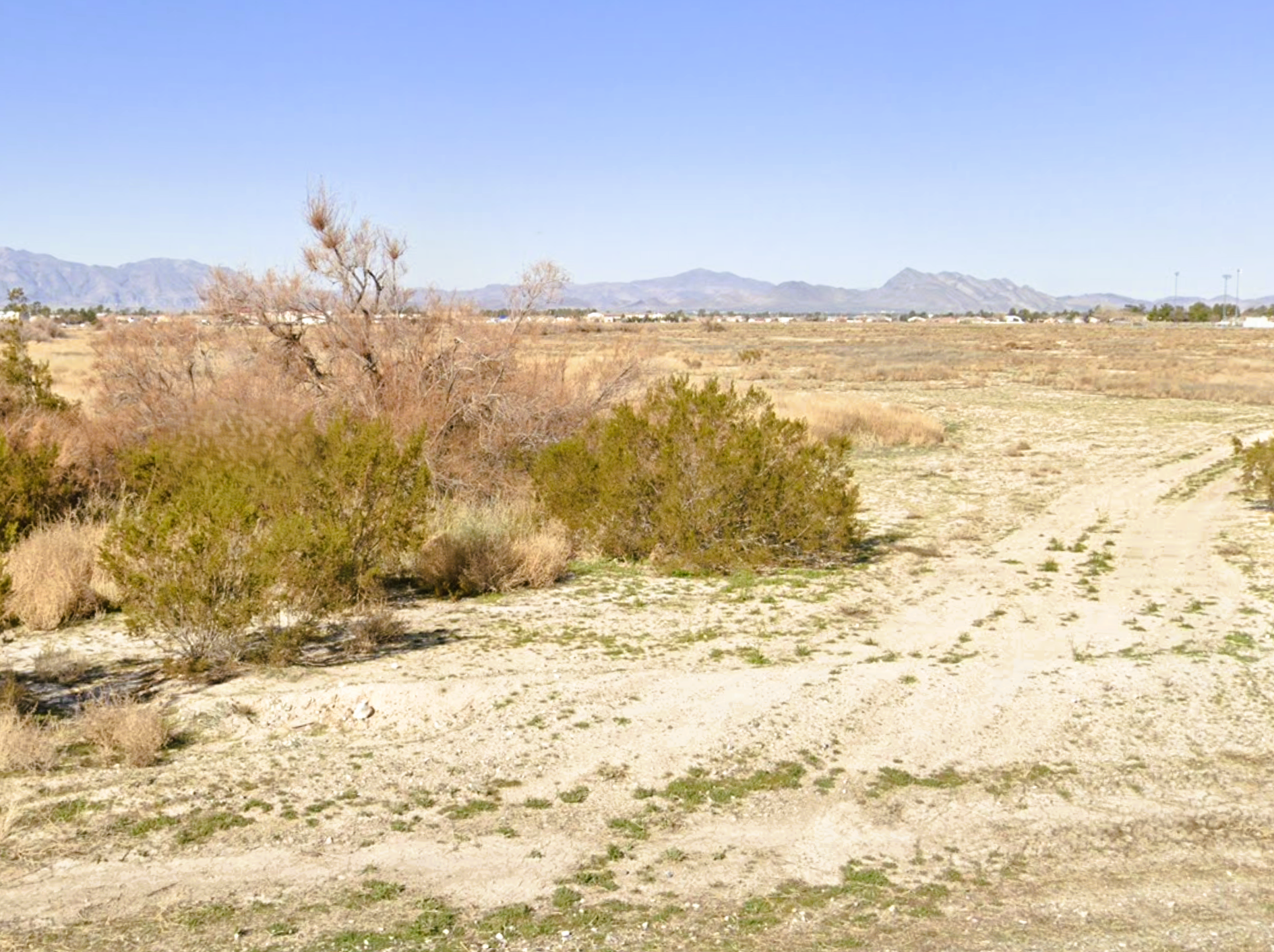 Google Pic 1N- 1770 S DANDELION ST.png