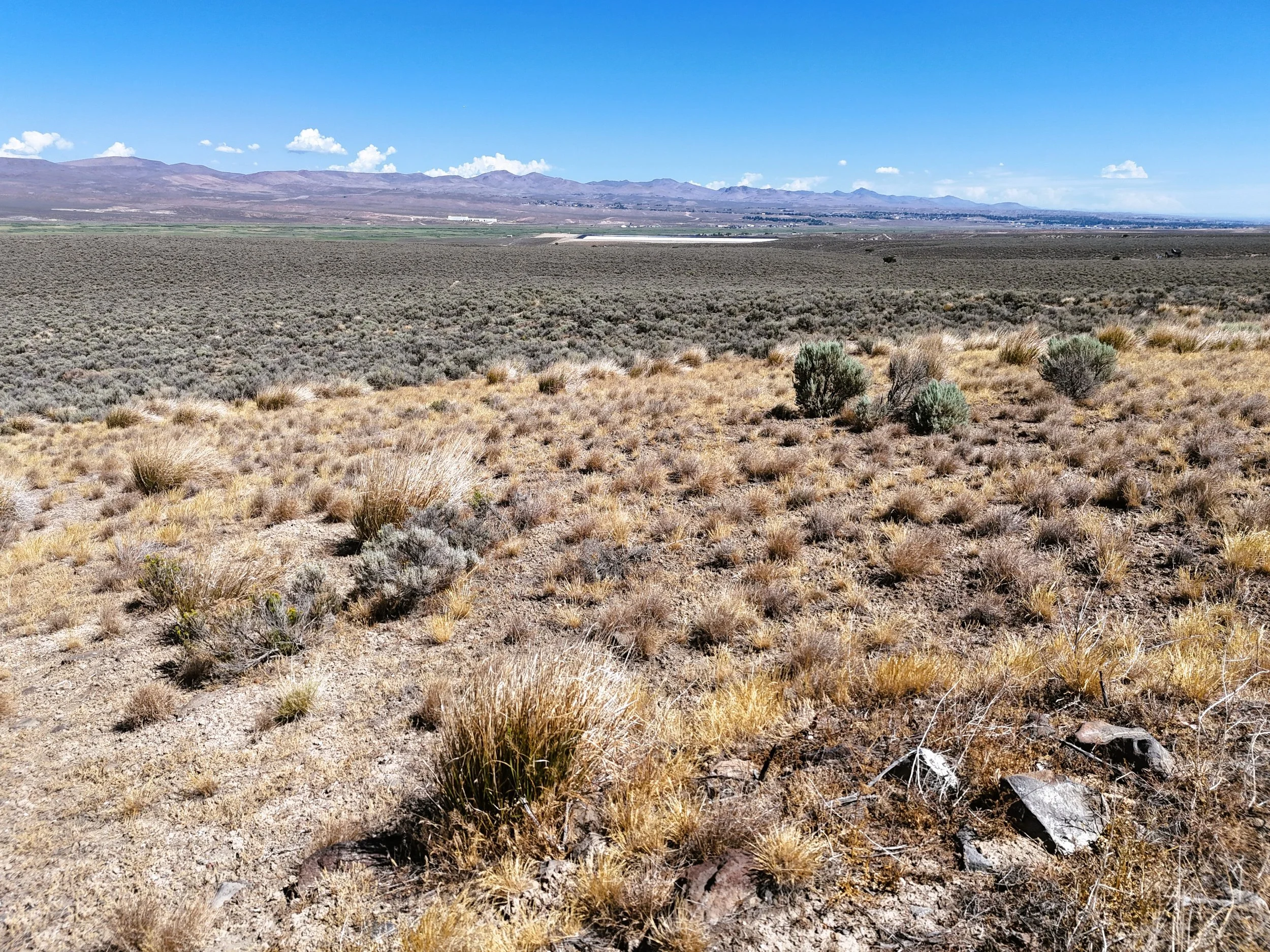 Ground looking down property (north).jpg