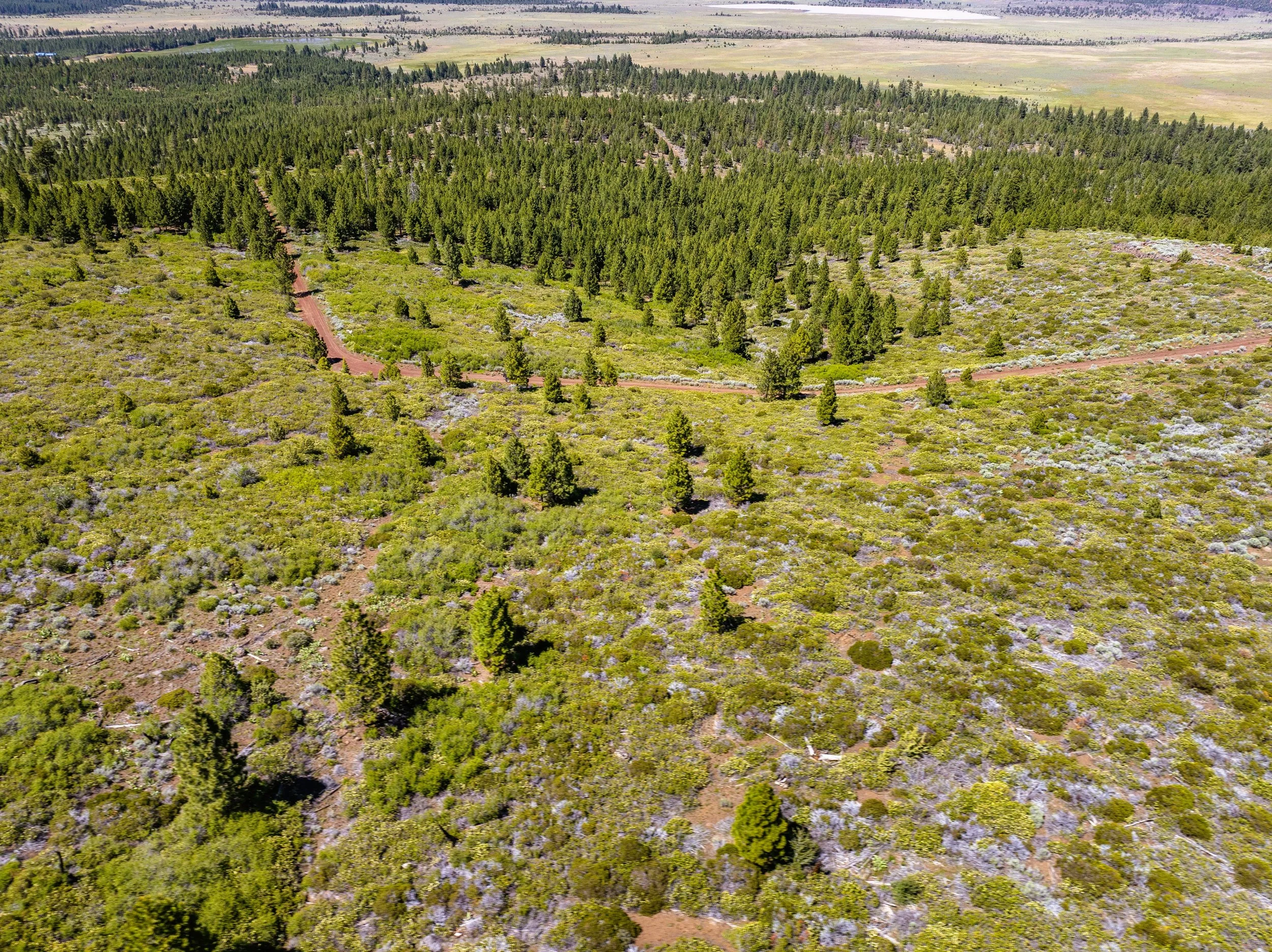041-613-006-000 - E - 09.jpg