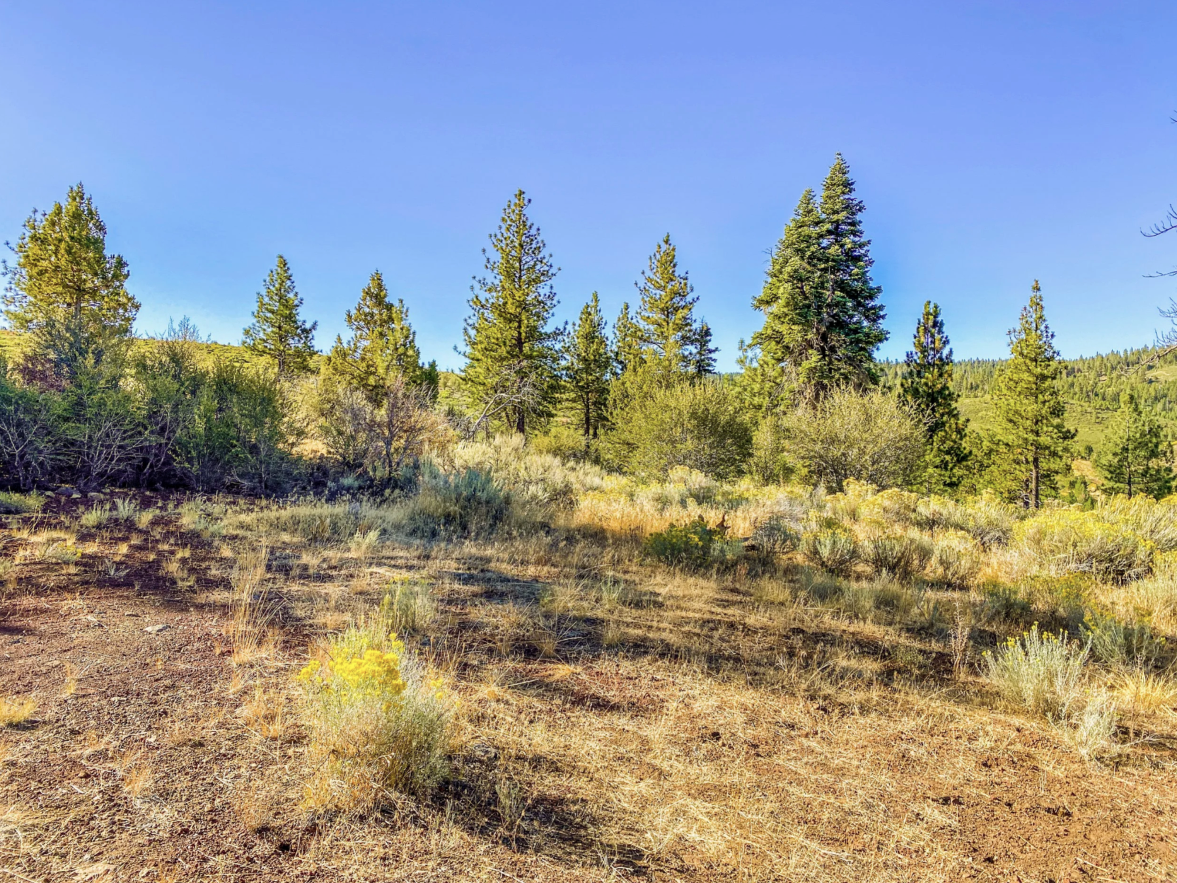 Pic 1 - Lot 15 Pine Nut Dr.png