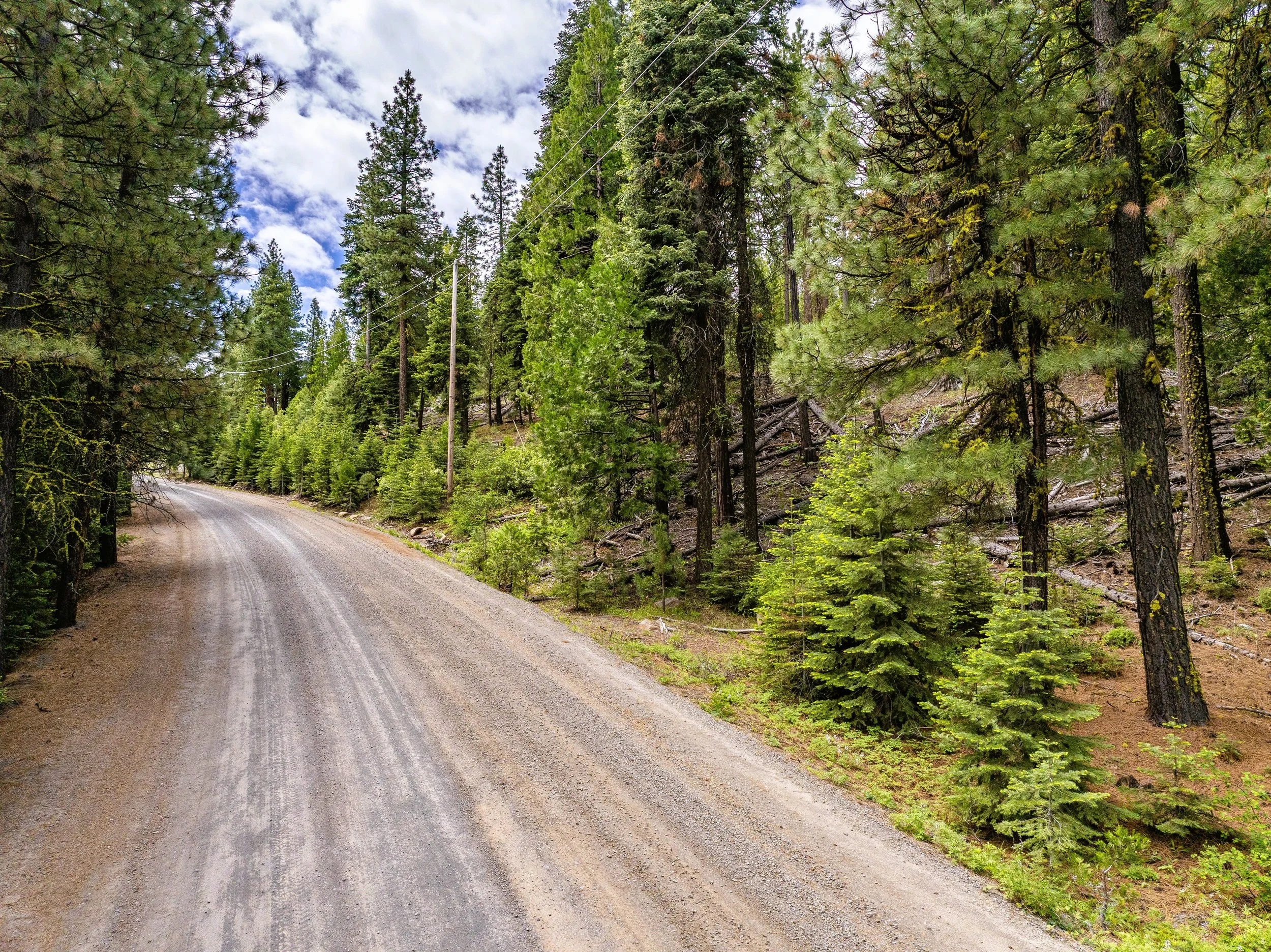 $ 4,950. 1.12 Acres. Lot 4 California Pines Blvd. Power Lines in Front. Financing Available $ 99 Down And $ 97.67 A Month for 60 Months.
