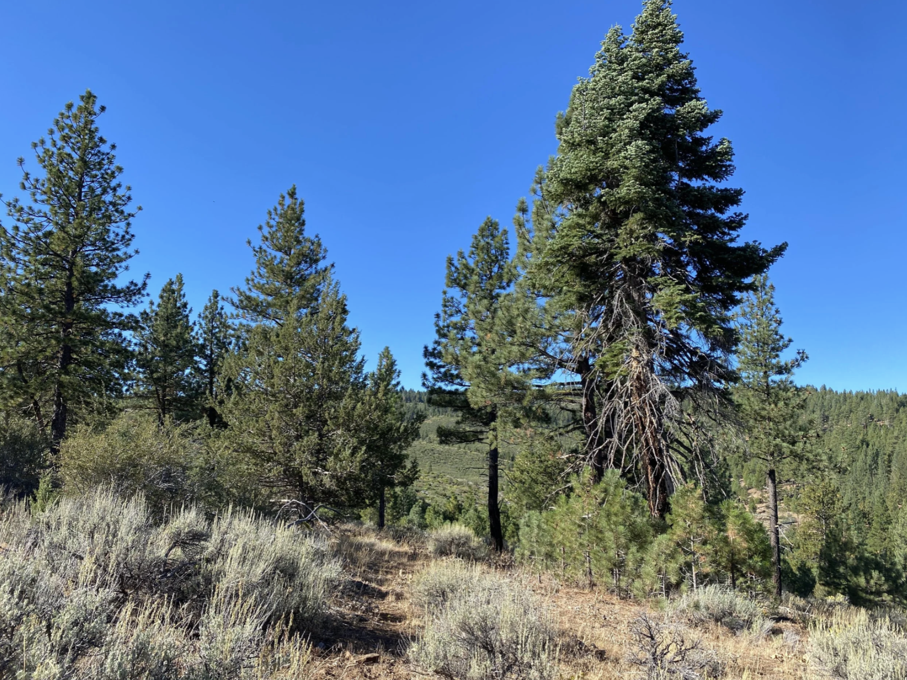 Screenshot 2026-04-17 at 10.14.05 AM.png