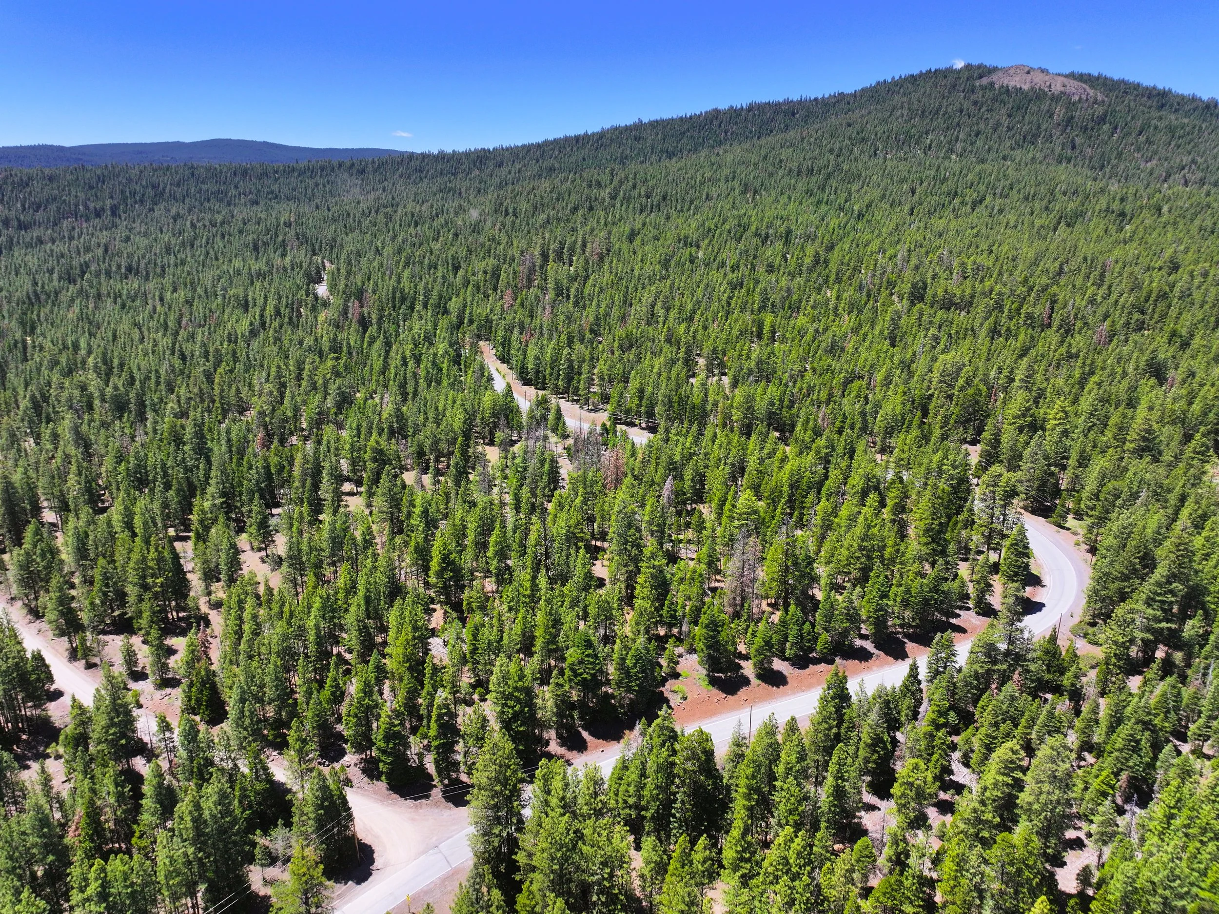 Drone - Lot 28 California Pines Blvd )2024-06-18 09.28.22).jpg