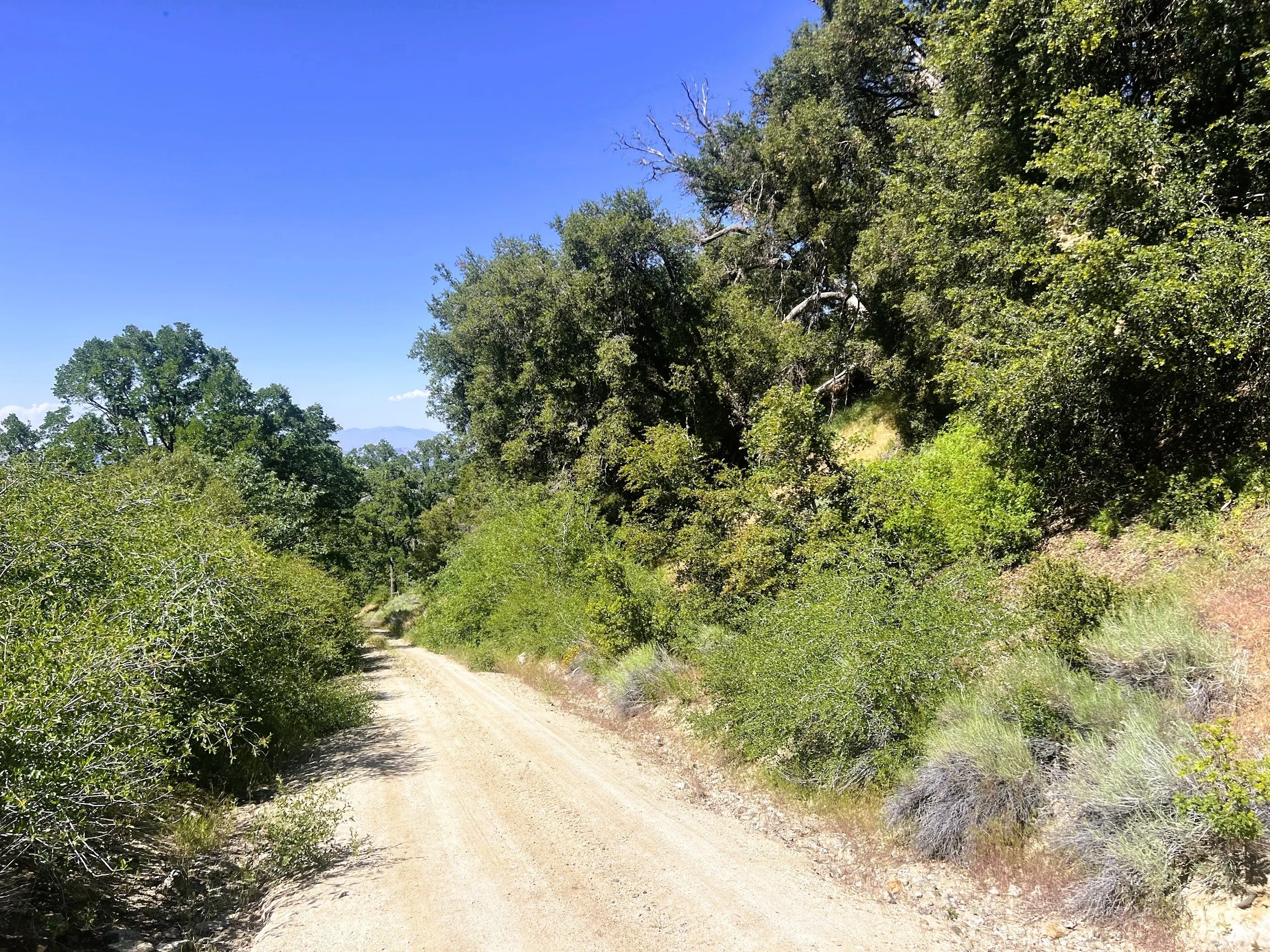$ 15,000.  2.82 Acres. Lot 149 St. Moritz Dr.  Financing Available with just $ 500 Down !