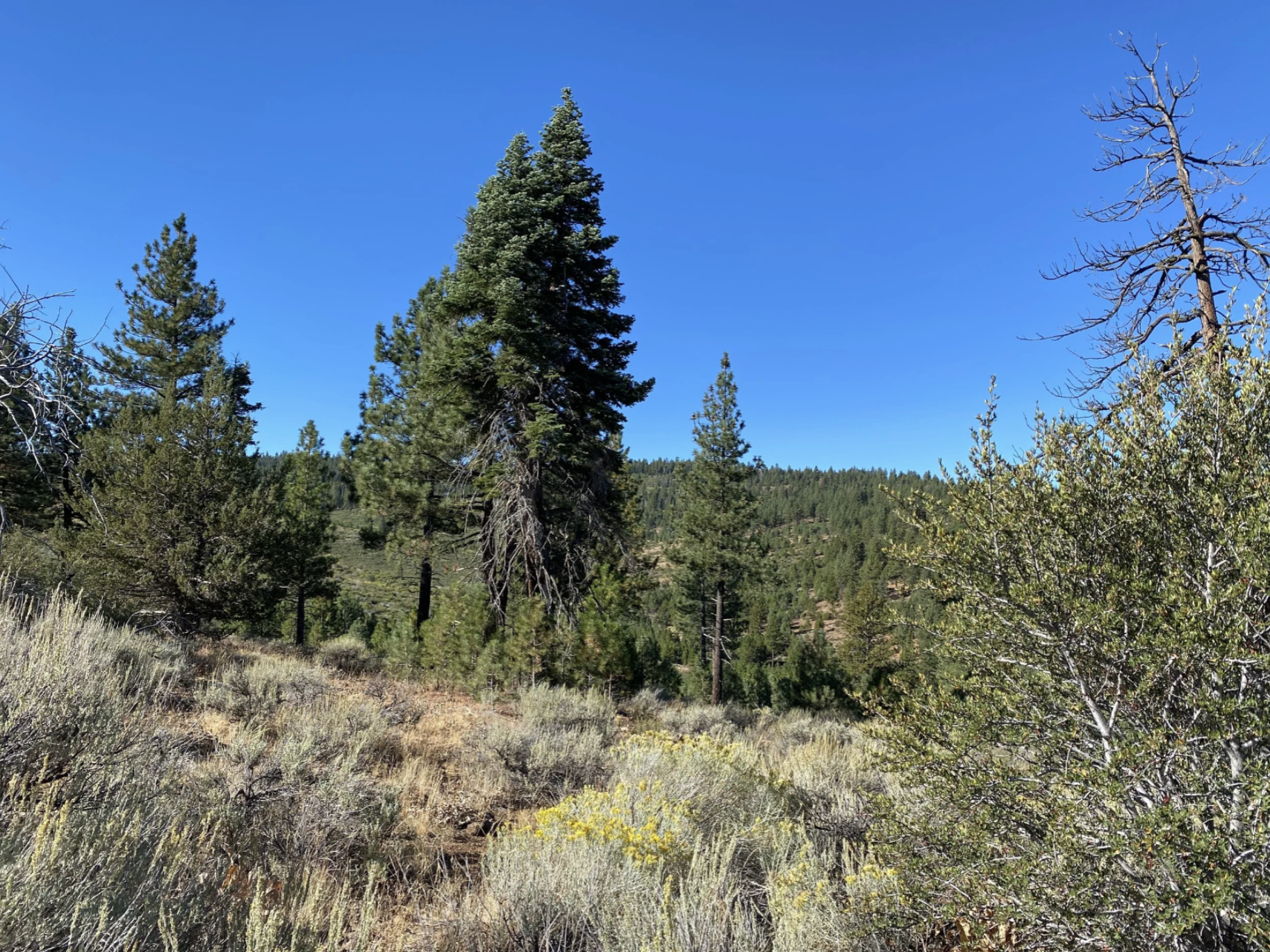 Screenshot 2026-04-17 at 10.14.50 AM.png