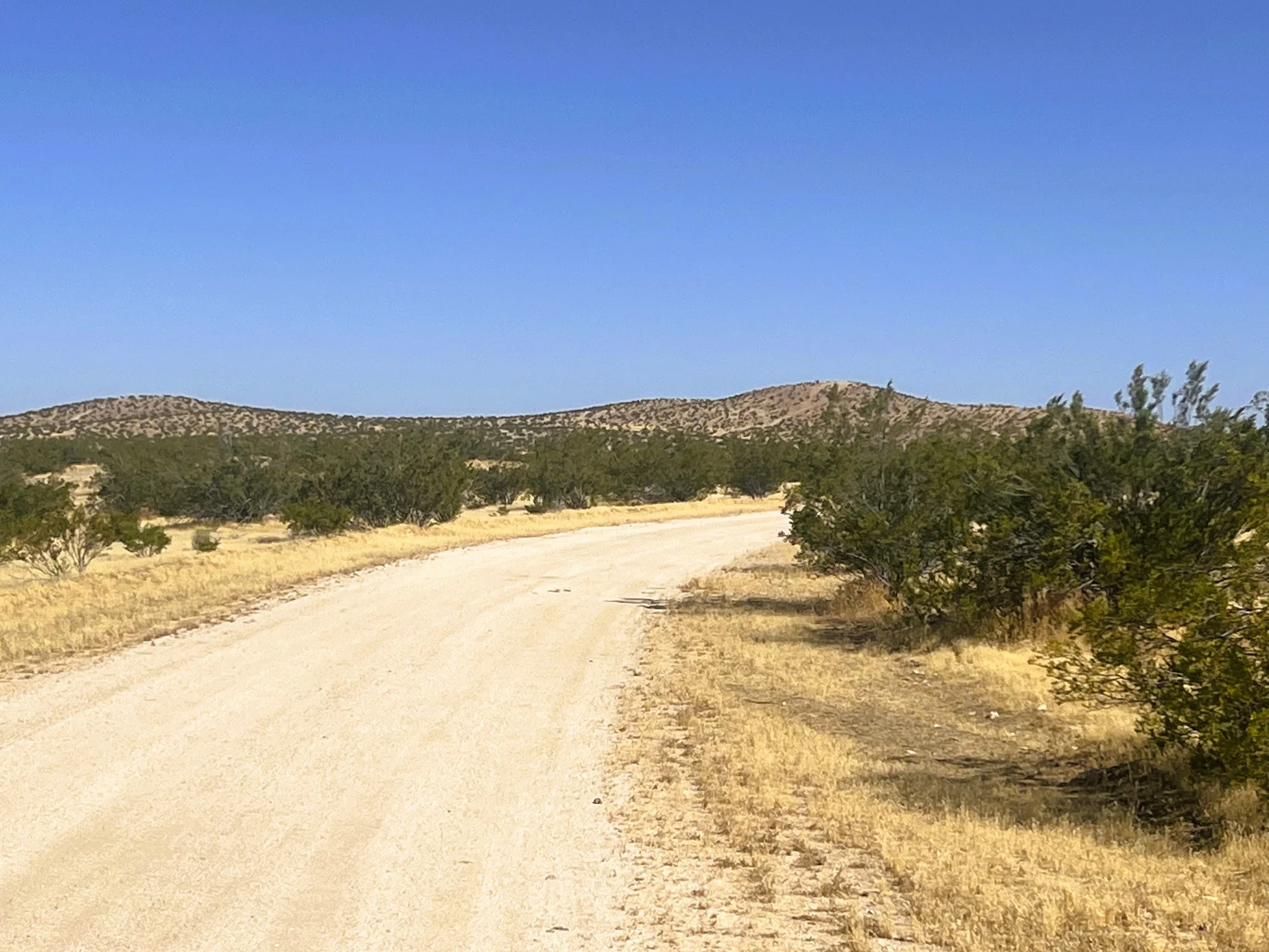 $ 4,950.  1.92 Acres.  Lot 429 Sierra Vista Dr. Financing Available $ 99 Down and $ 97.67 A Month for 60 Months.