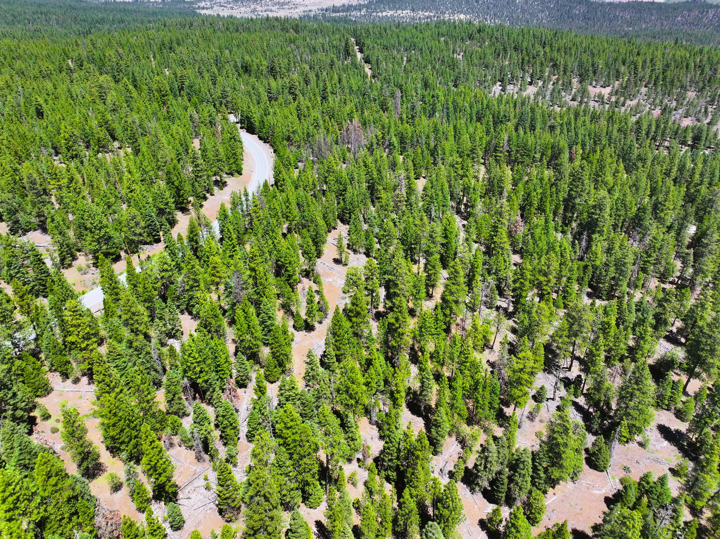 Drone - Lot 28 California Pines Blvd (2024-06-18 09.26.29).jpg