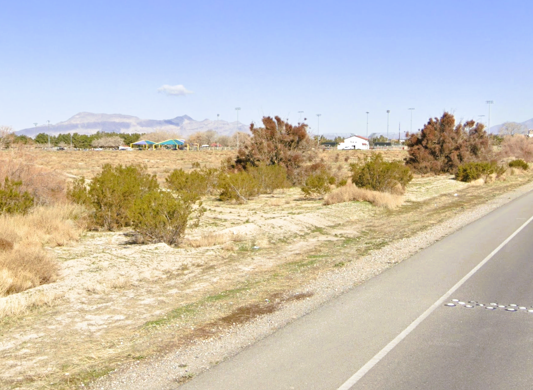 Google Pic 6N - 1770 S DANDELION ST.png