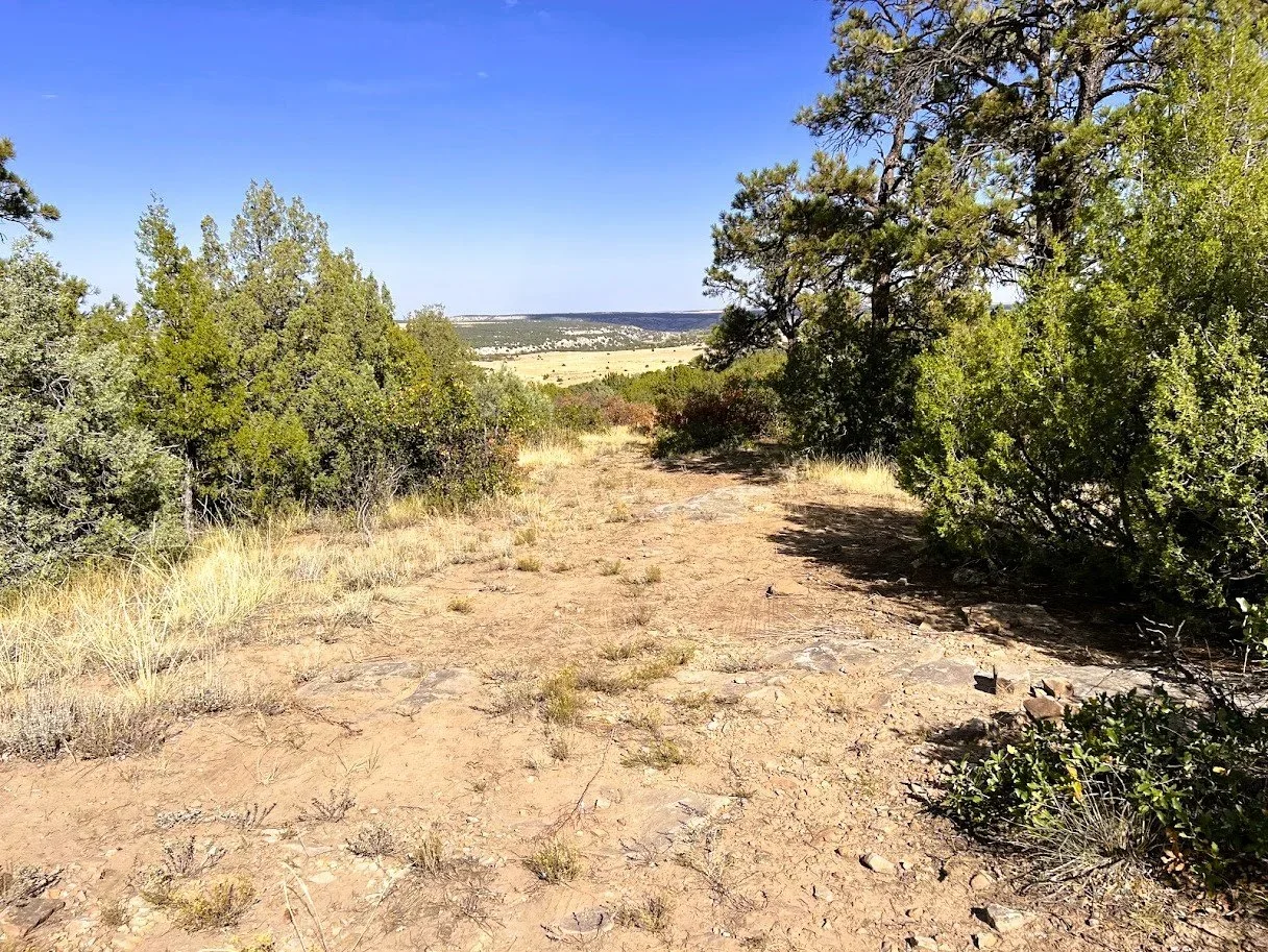 Pic 8 - Lot 35 San Carlos Dr.webp