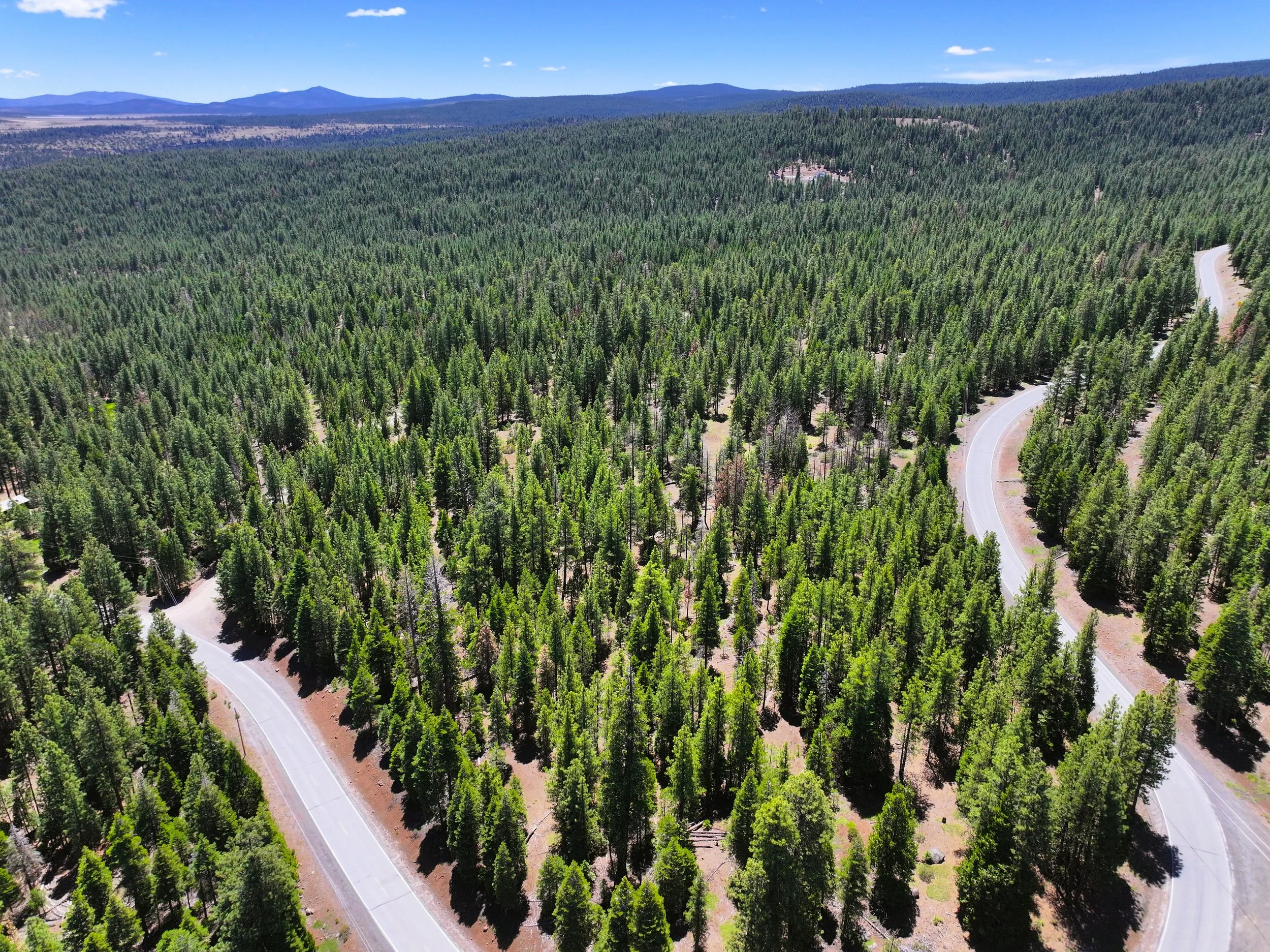 Drone - Lot 28 California Pines Blvd (2024-06-18 09.28.49).jpg