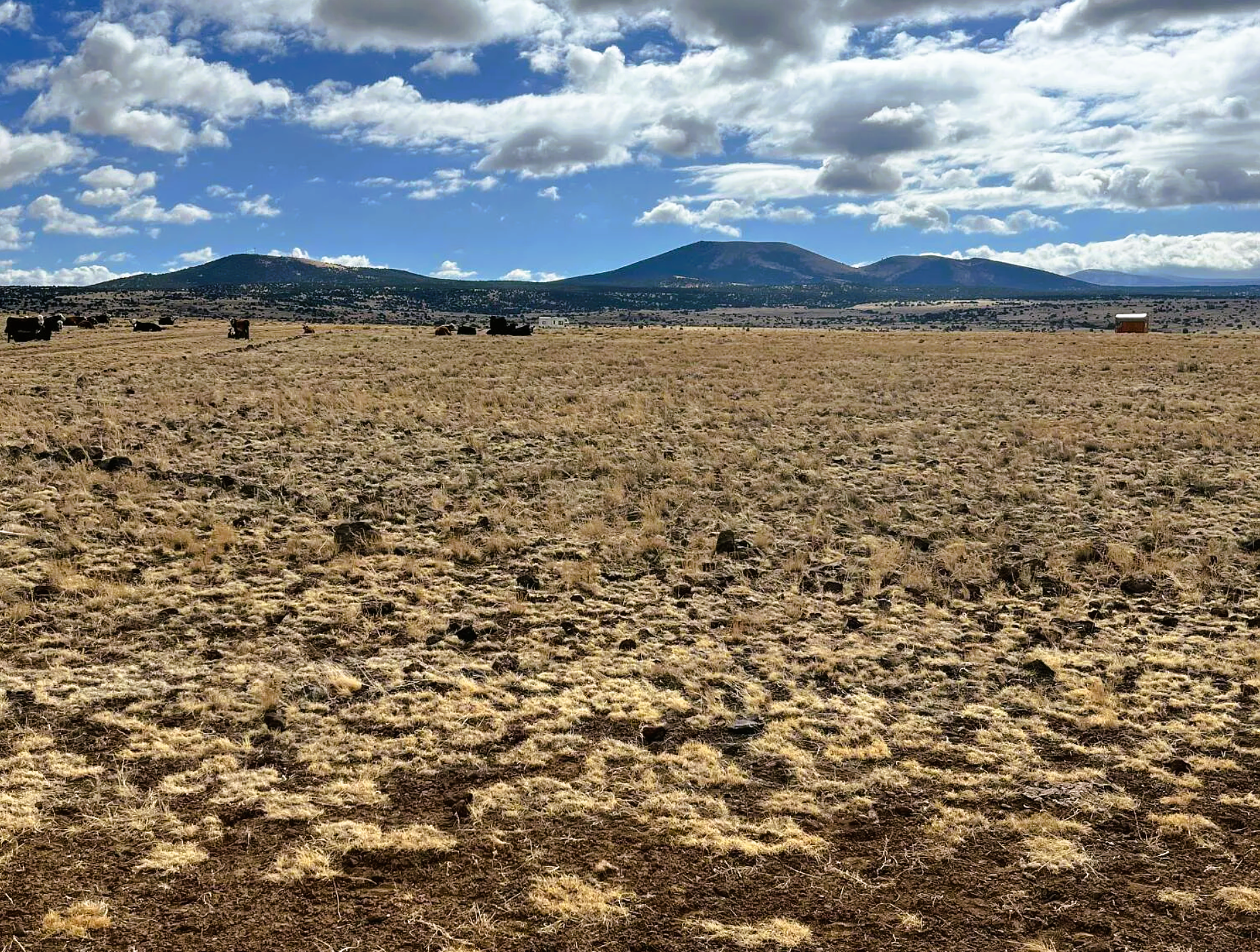 $ 3,950.  0.27 Acres. Lot 24 Calle Conejo. Power, Water and Sewer Available. RV Living is Allowed.