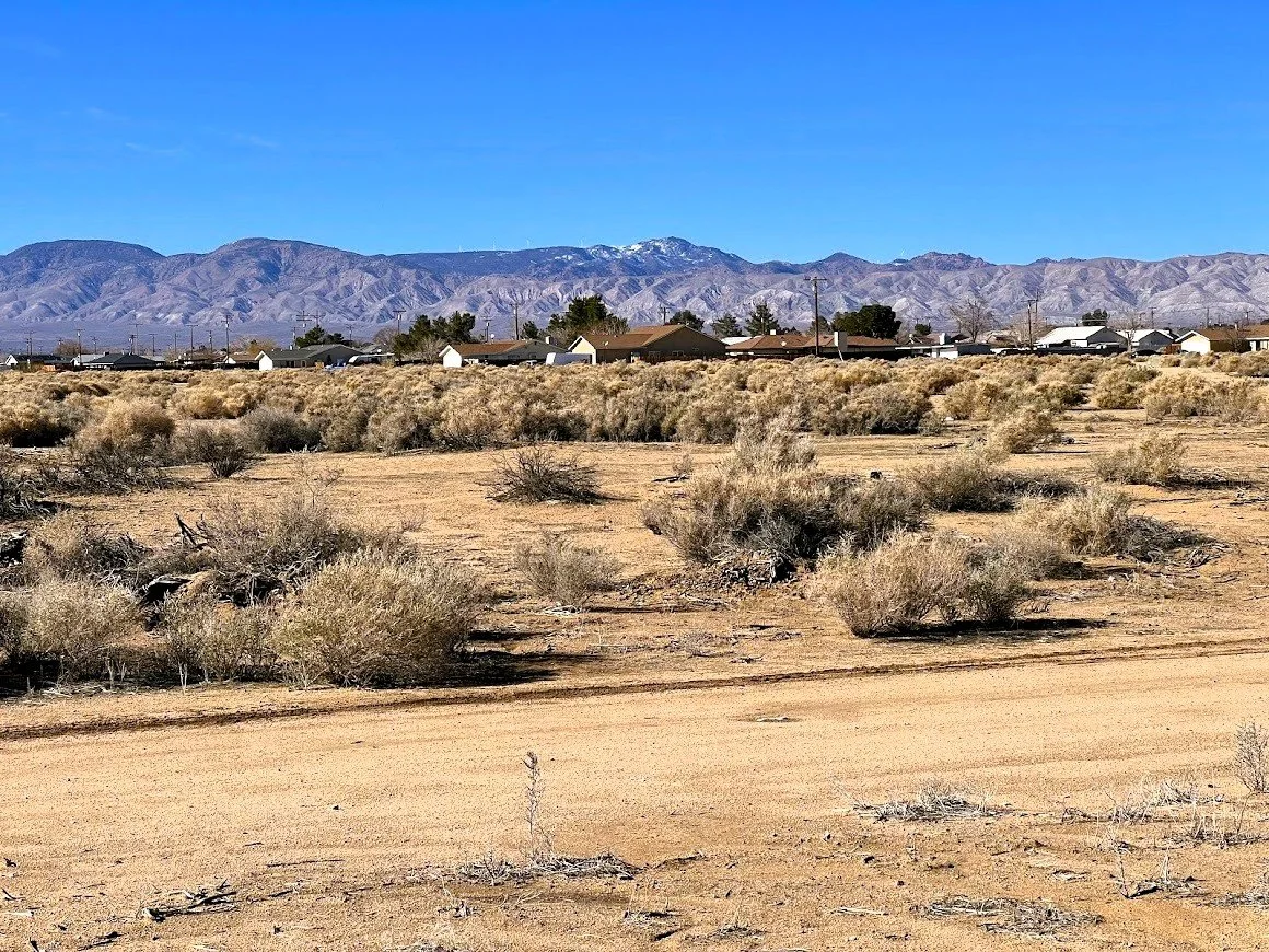 $ 6,950. 0.25 Acres. Lot 132 93rd Ave. $ 350 Down And $ 205.91 A Month For 36 Months.