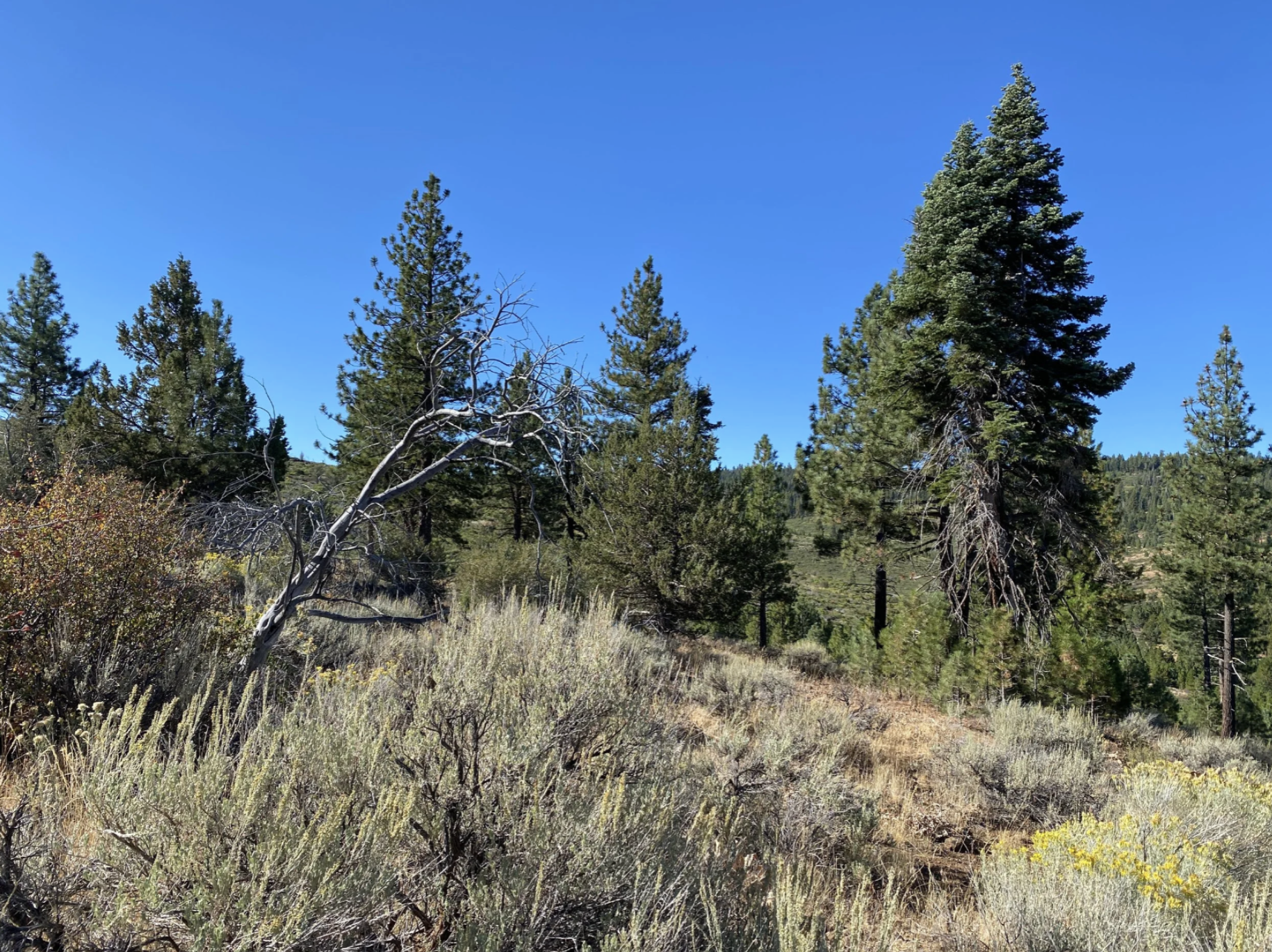 Screenshot 2026-04-17 at 10.14.34 AM.png