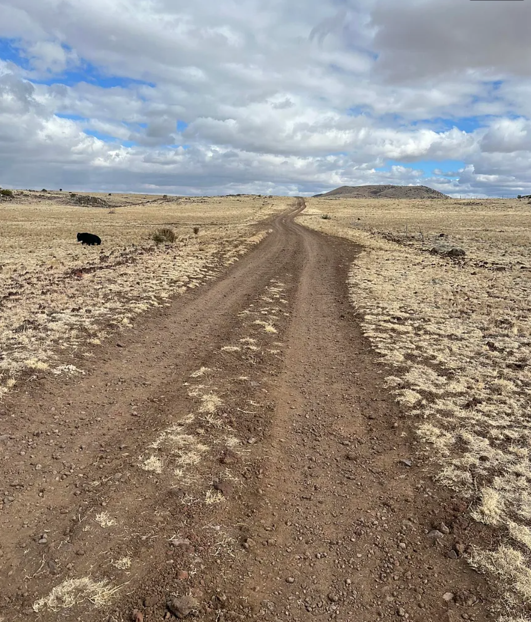 Screenshot 2026-01-29 123839.png