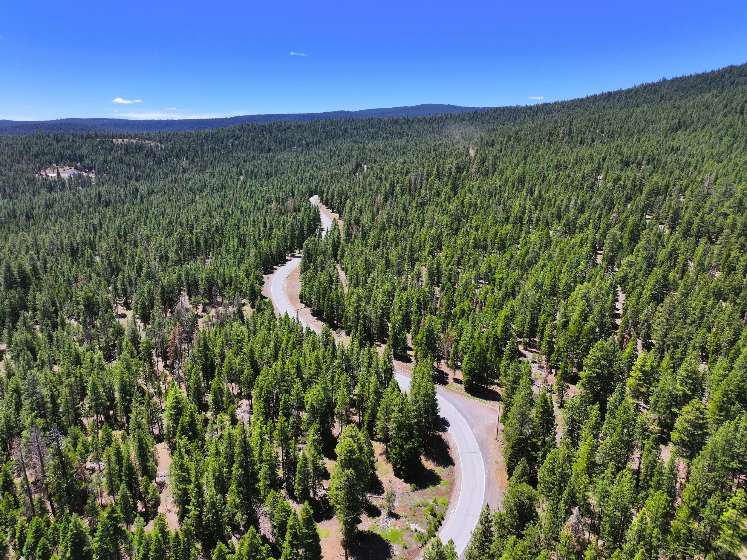 Drone - Lot 28 California Pines Blvd (2024-06-18 09.28.44).jpg