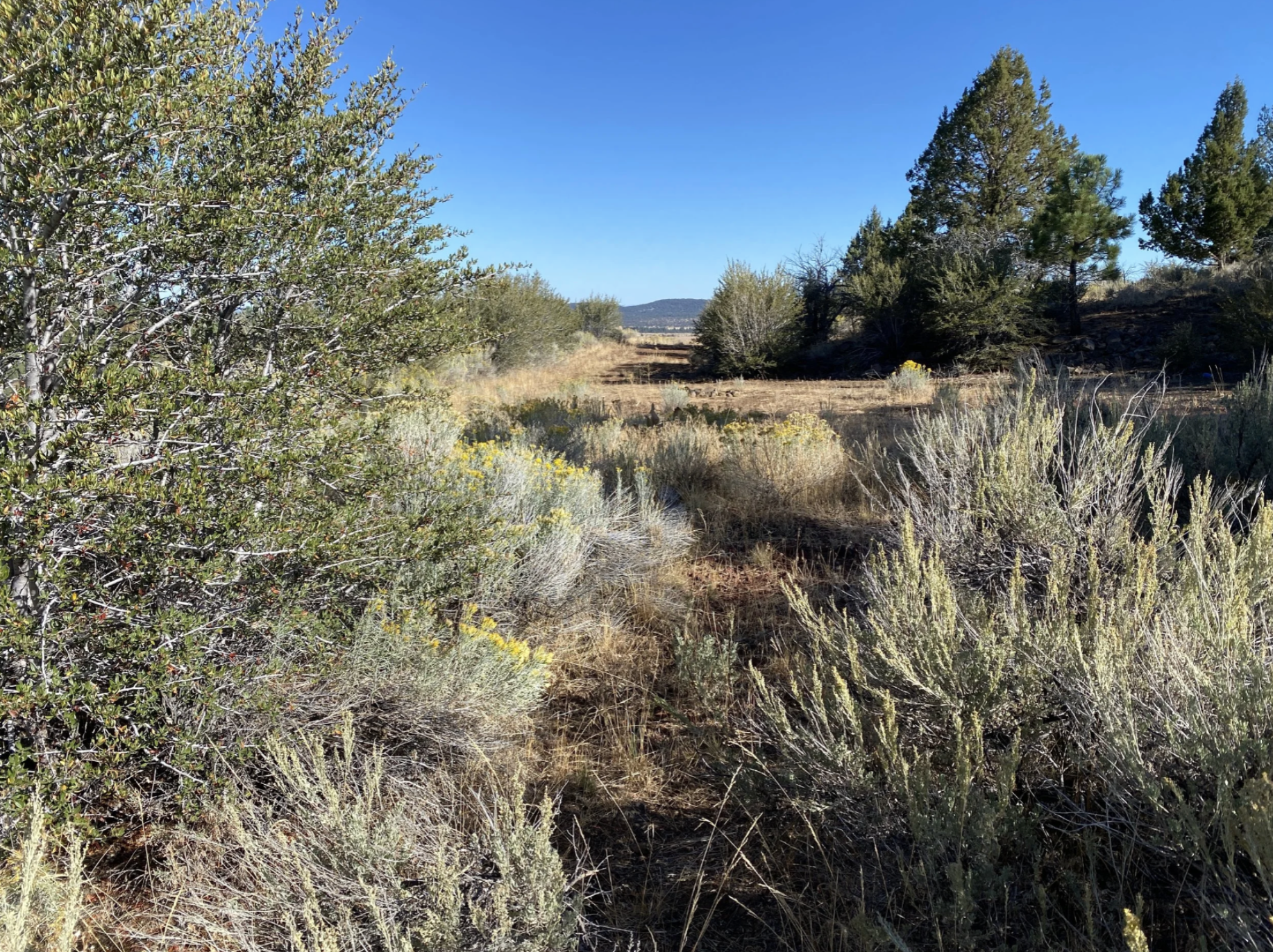 Screenshot 2026-04-17 at 10.16.43 AM.png