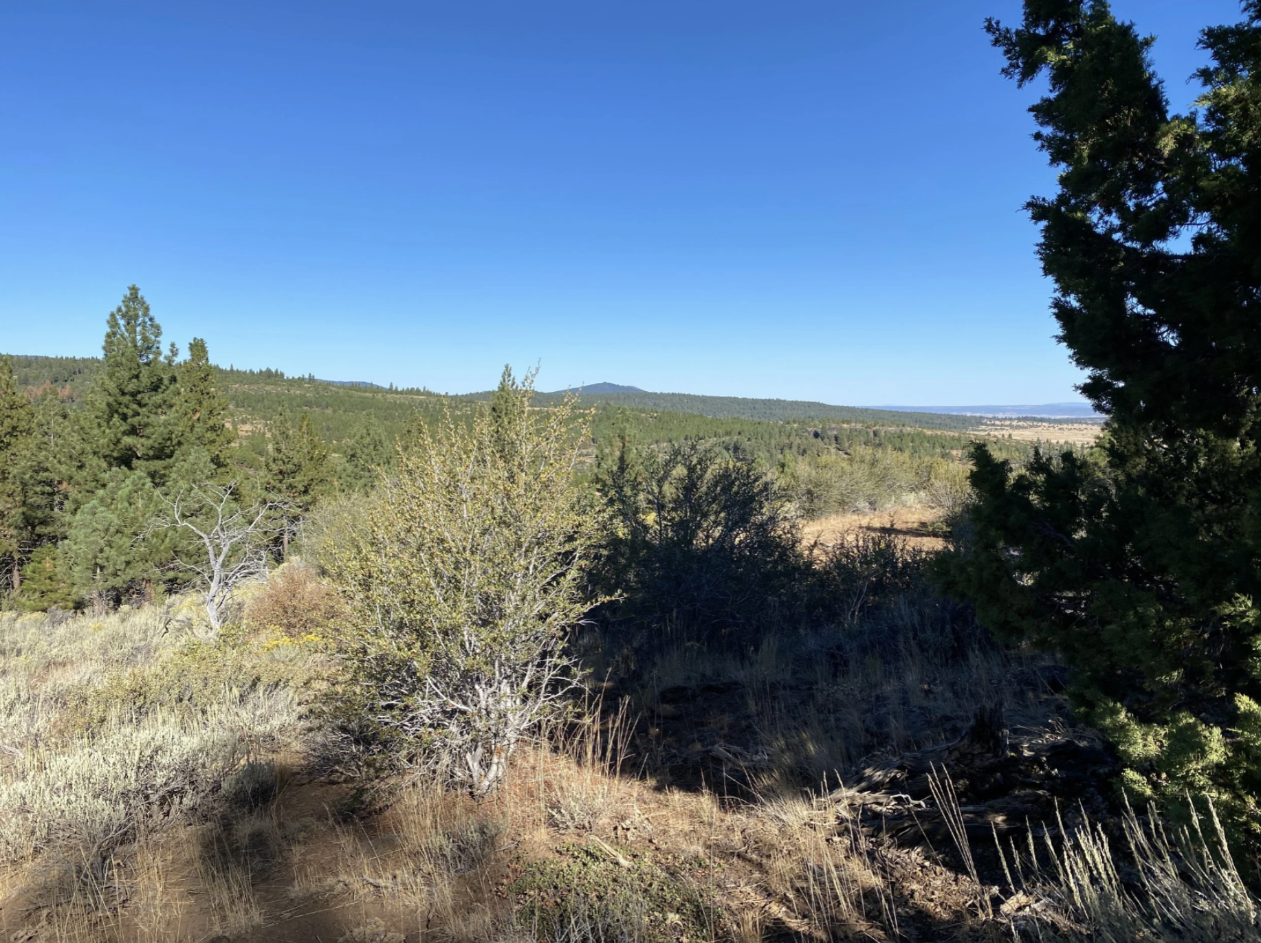 Screenshot 2026-04-17 at 10.11.24 AM.png