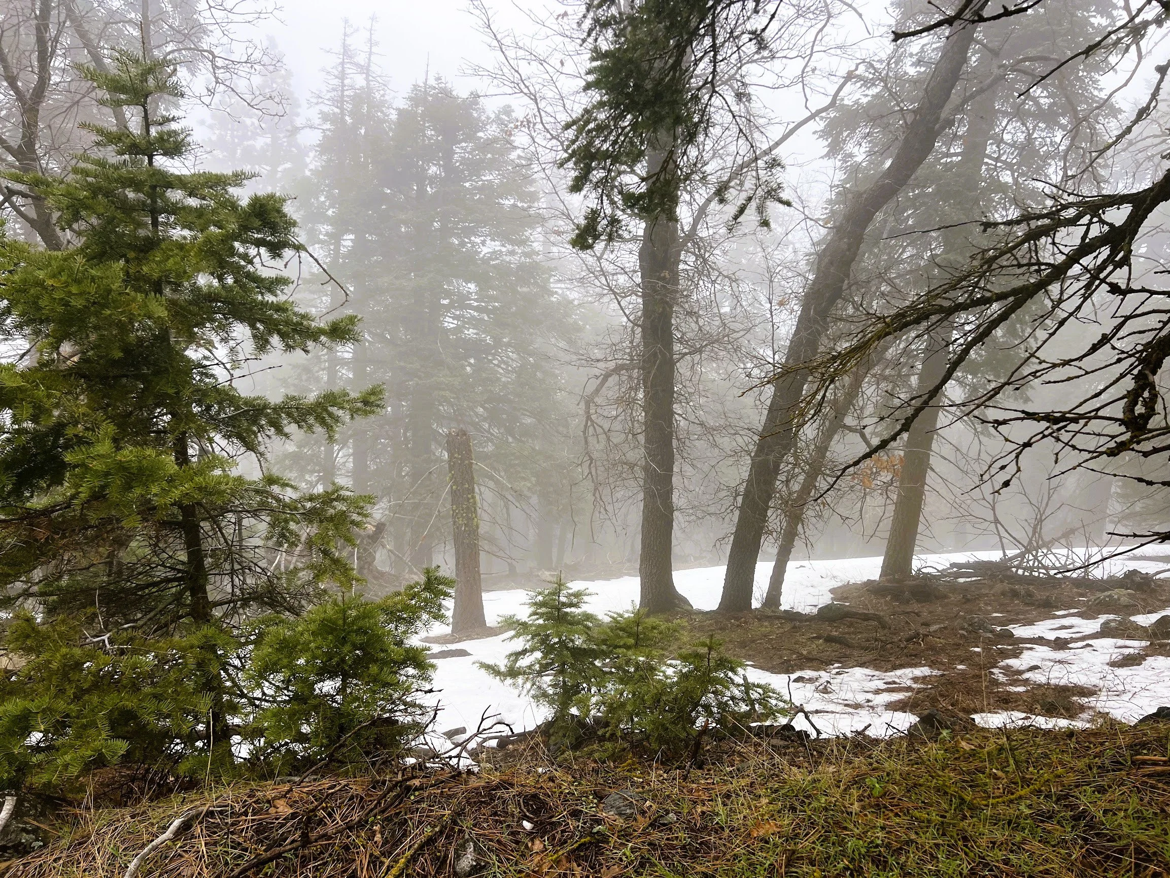 Pic 9 - Lot 131 Andermatt Dr.jpg