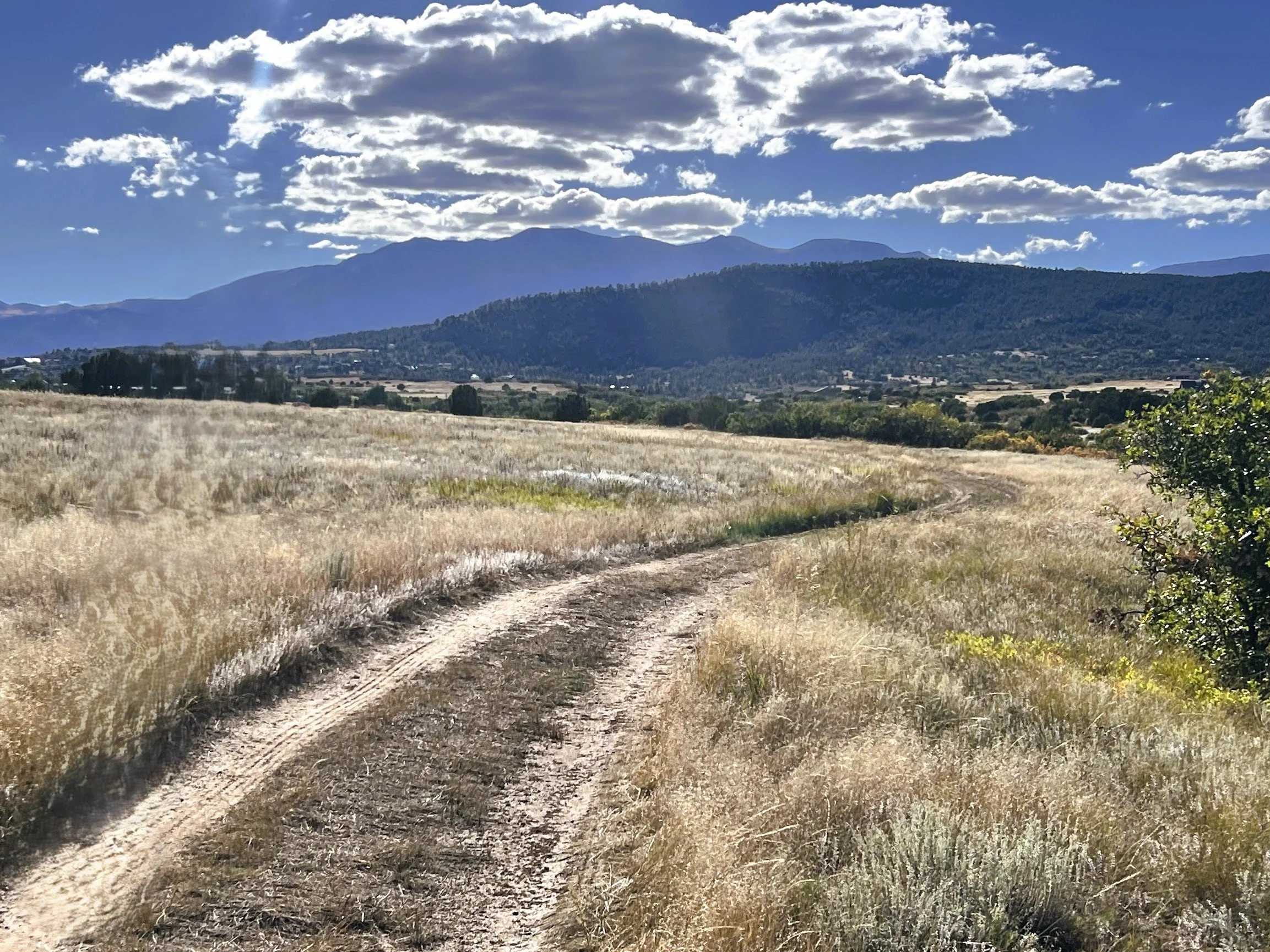 $7,950. 0.59 Acres. Lot 150 Fort Gerry Dr. $ 450 Down And $ 151 A Month For 60 Months.