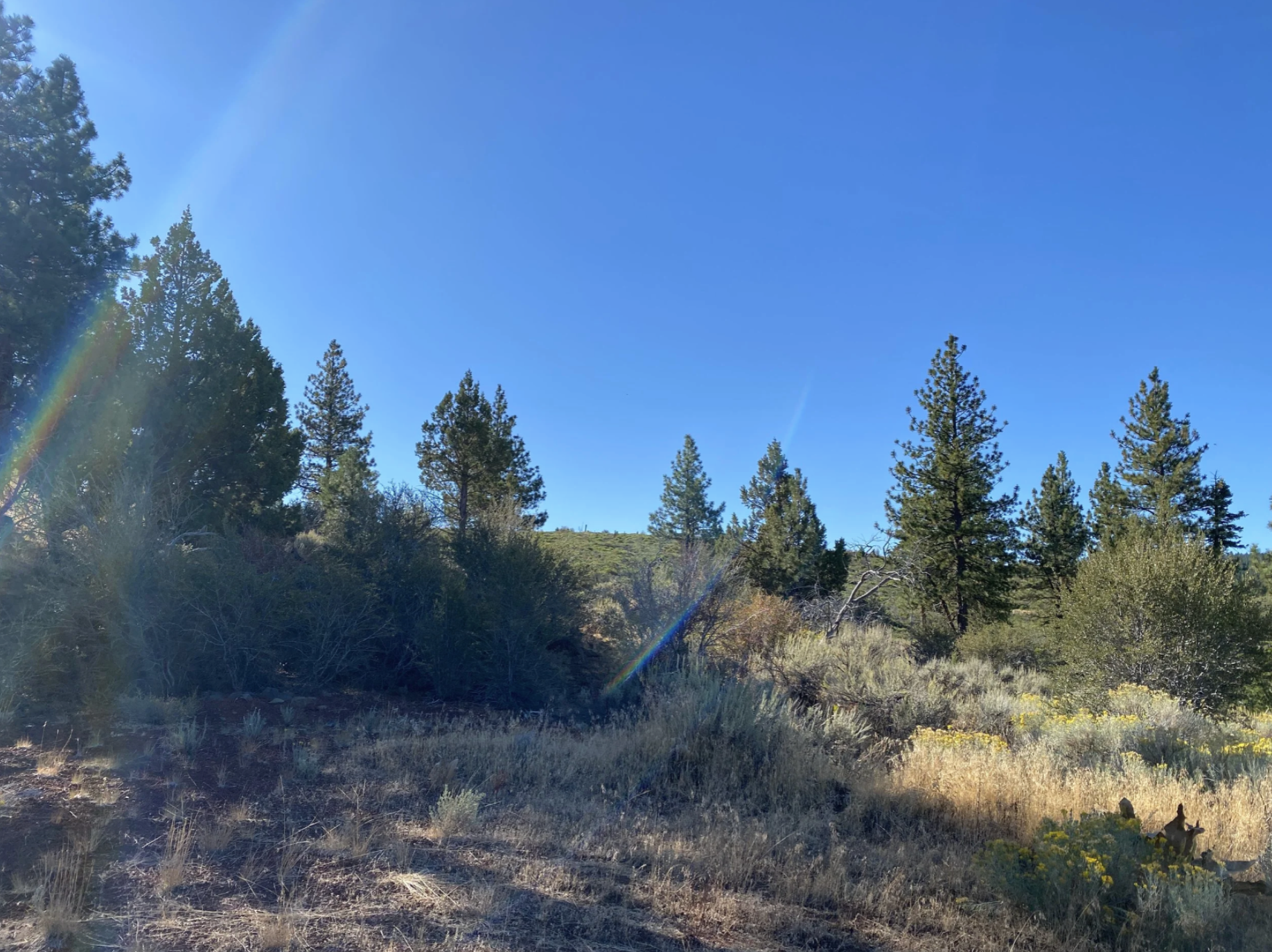 Screenshot 2026-04-17 at 10.10.24 AM.png