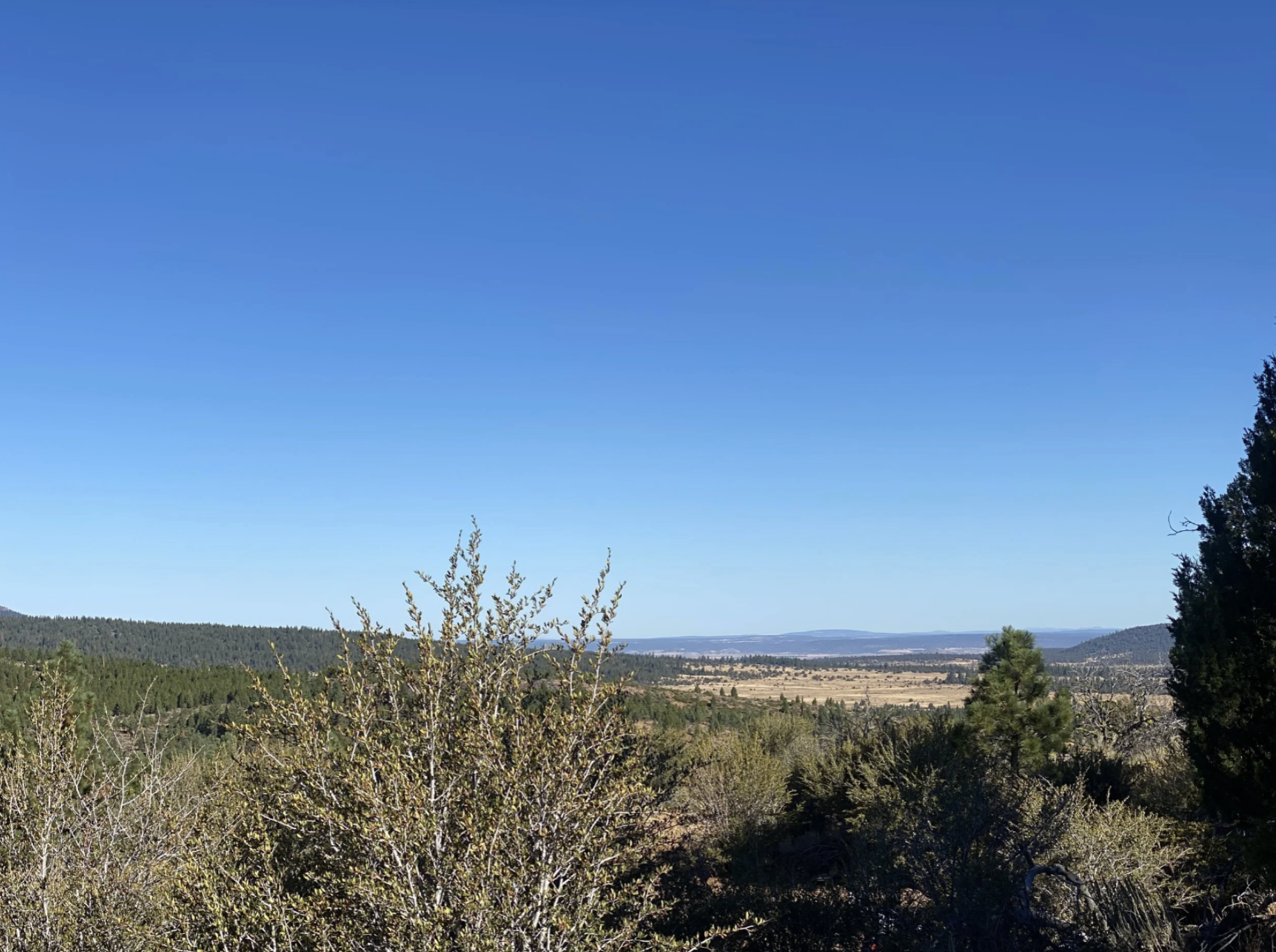 Screenshot 2026-04-17 at 10.10.38 AM.png