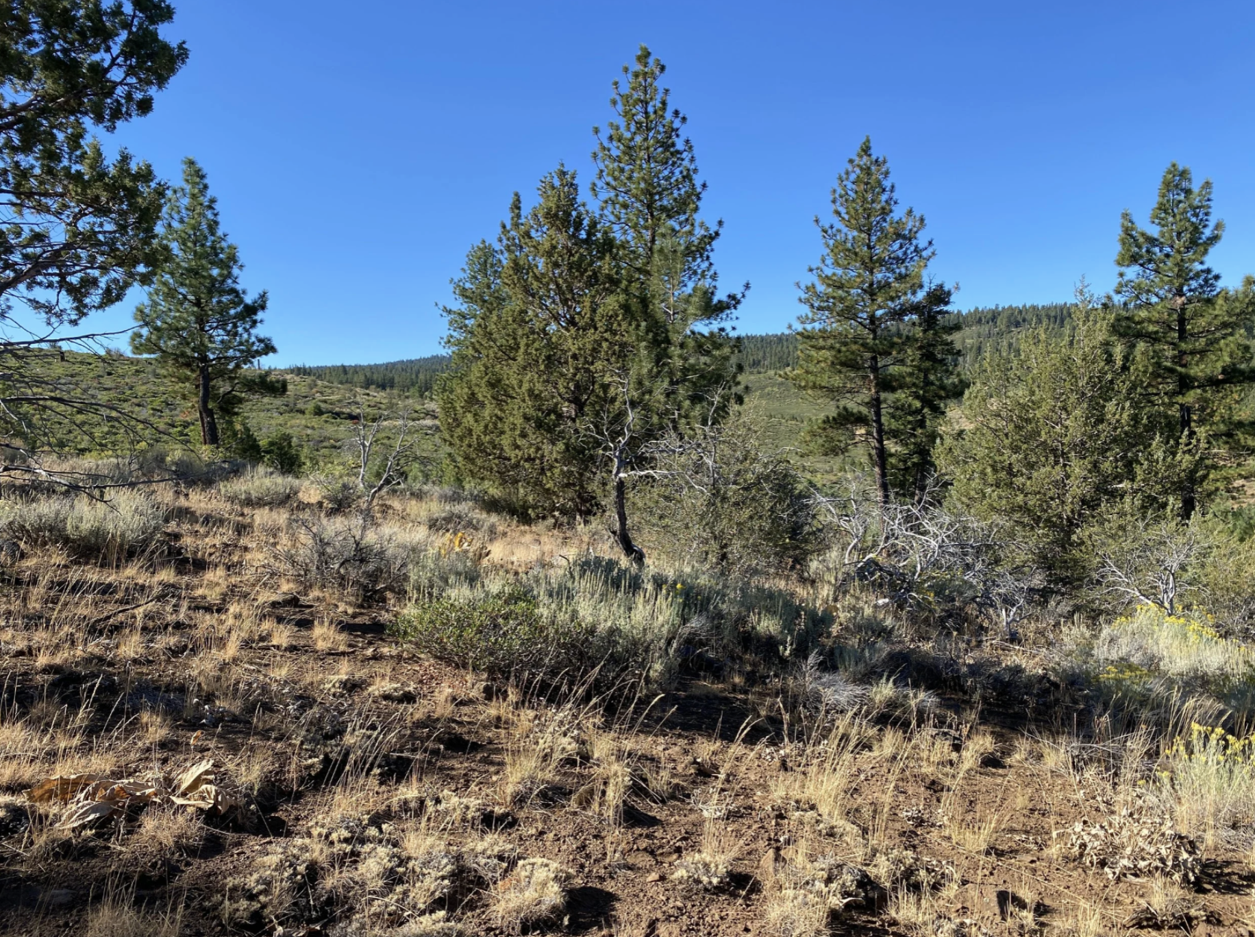 Screenshot 2026-04-17 at 10.15.48 AM.png