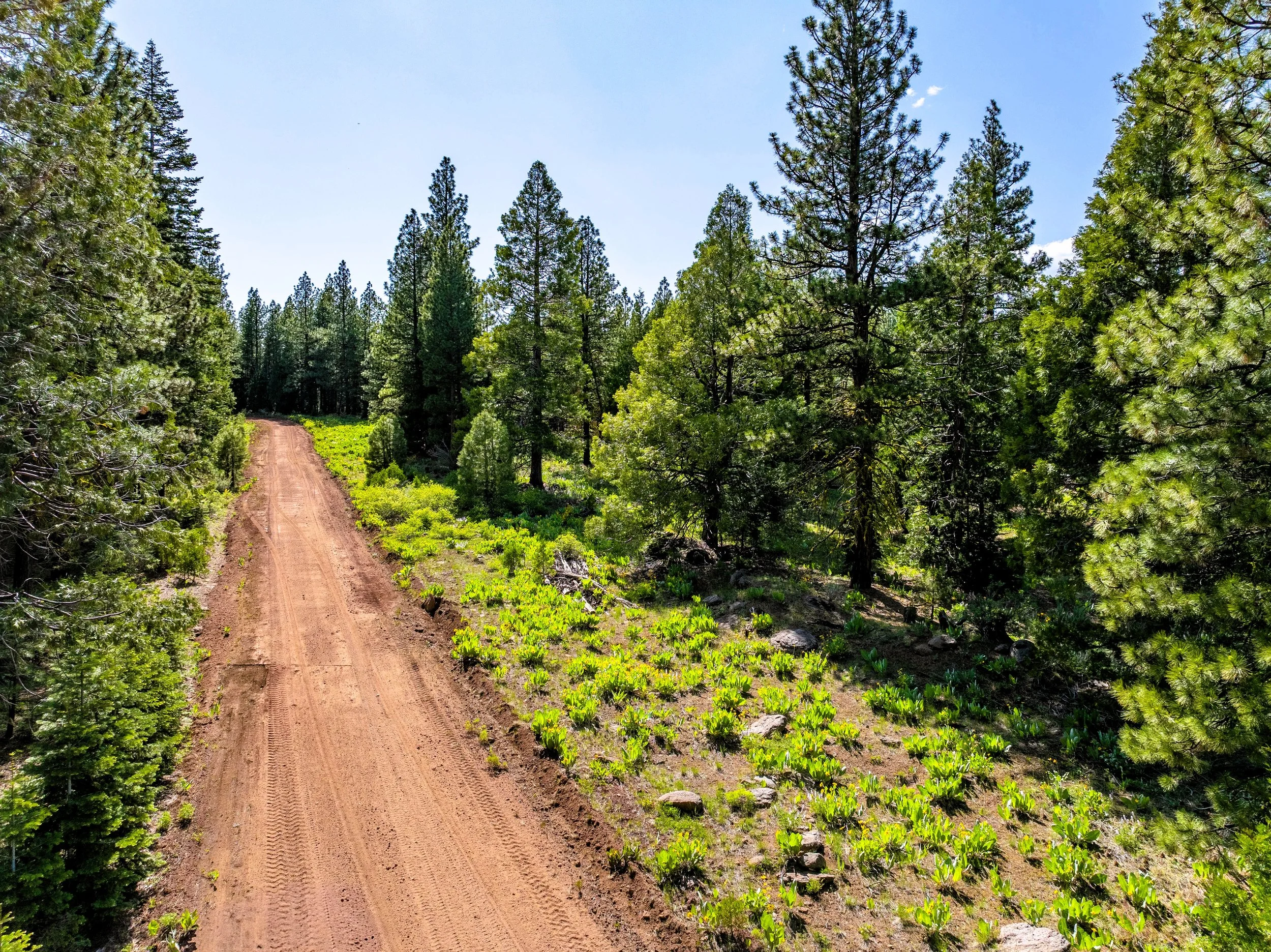 $ 4,950 1.27 Acres. Lot 34 Ridge Rd.  Financing Available $ 350 Down And $ 207.42 A Month for 24 Months.