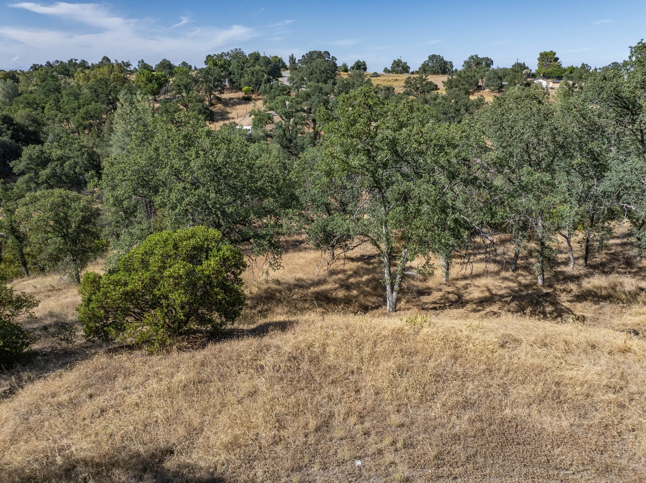 05-7200 Whitetail Way - E-4.jpg