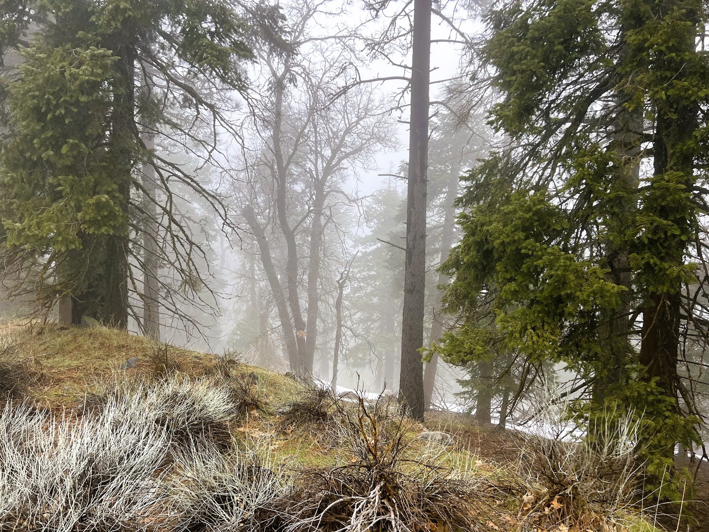 Pic 7 - Lot 131 Andermatt Dr.jpg