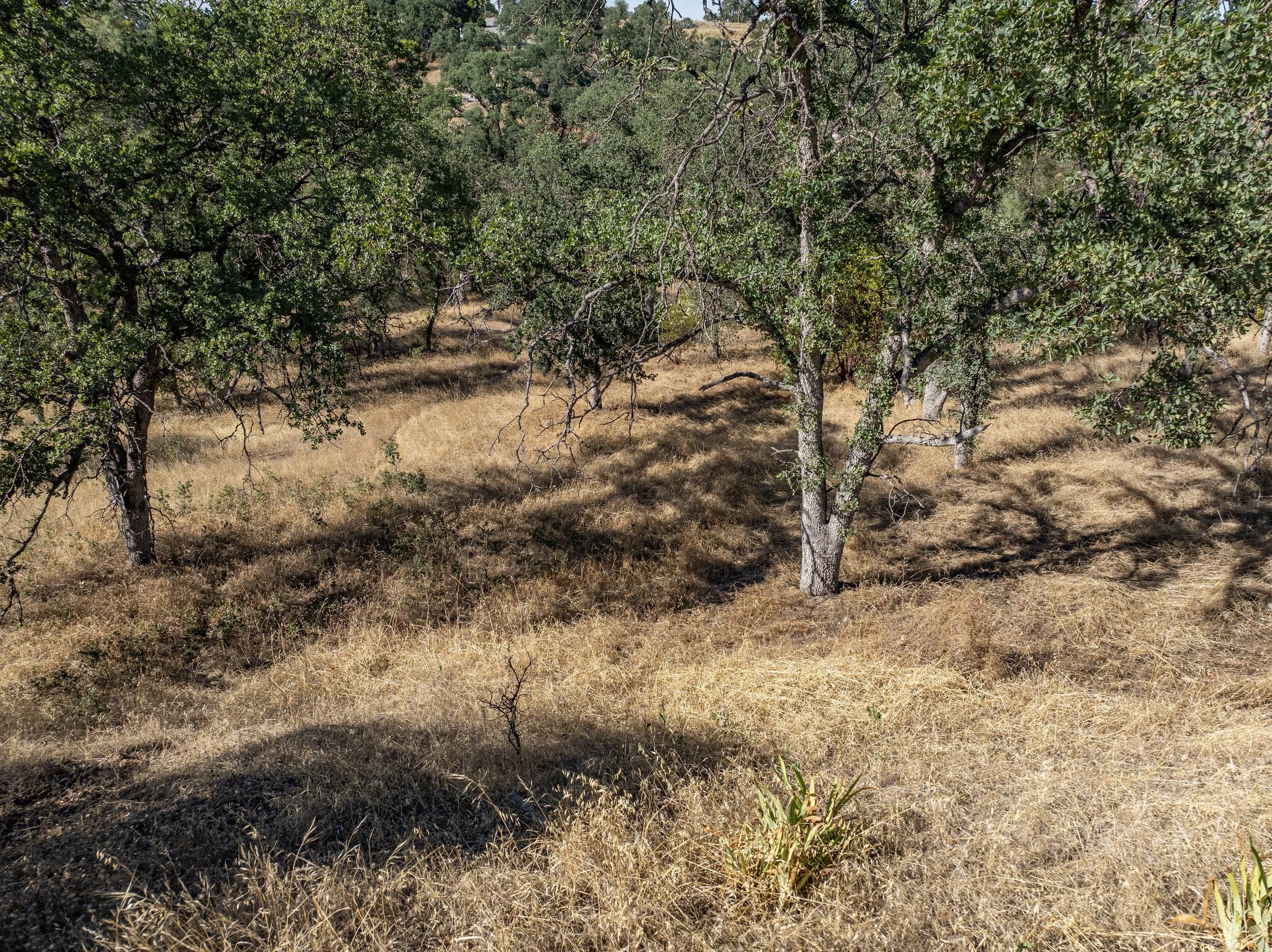 06-7200 Whitetail Way - E-5.jpg